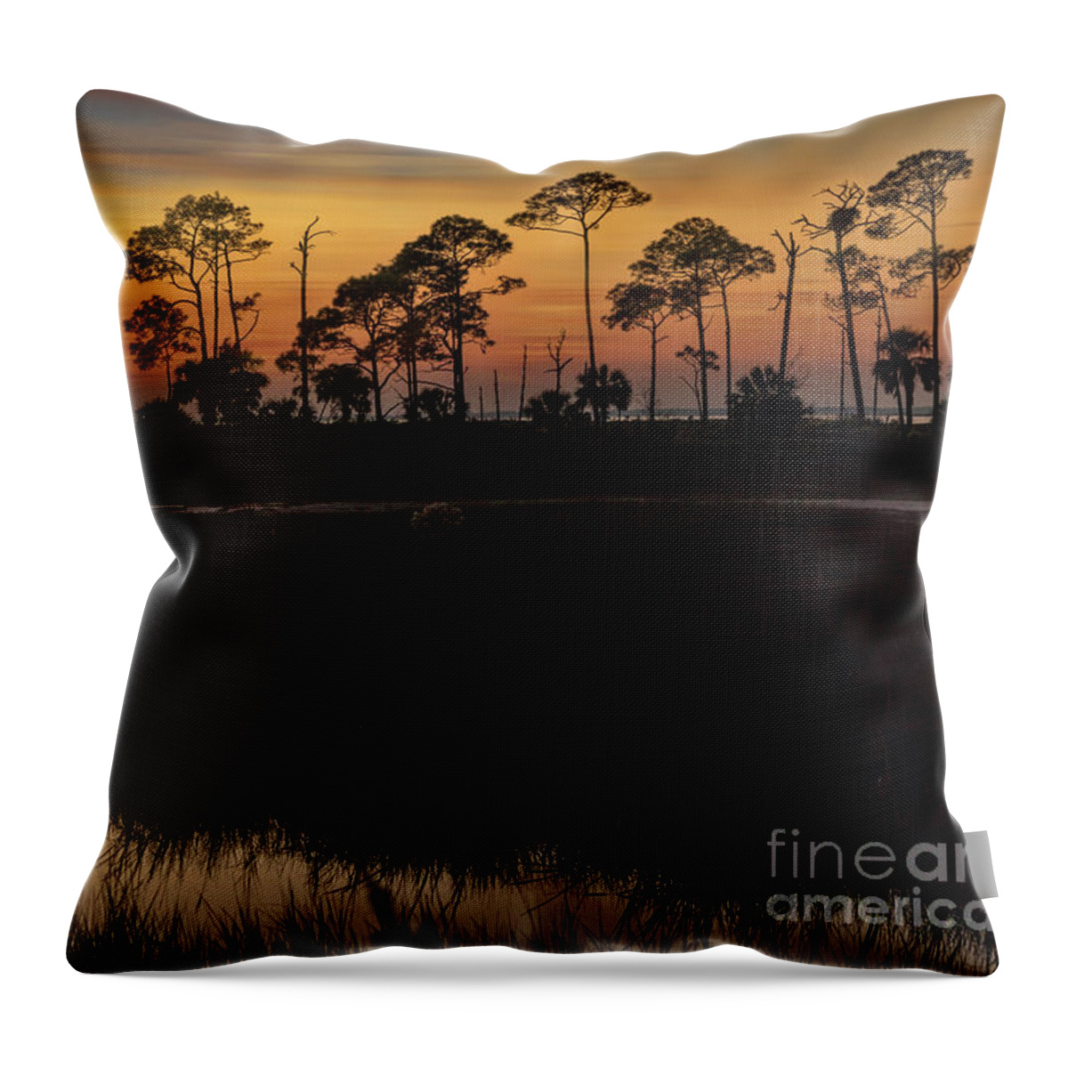 Sunsets Throw Pillow featuring the photograph Eagles Nest Sunset at Saint Marks by DB Hayes