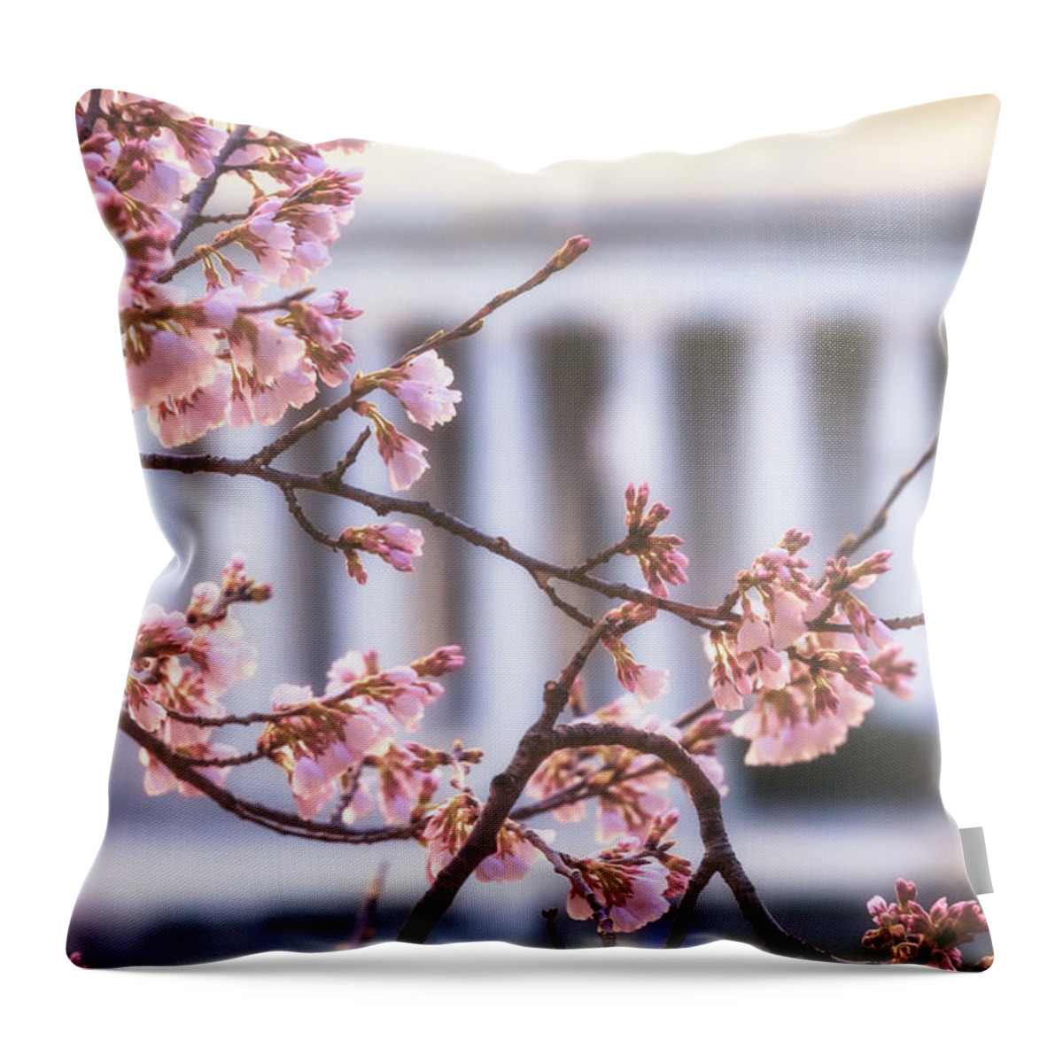 Washington Dc Throw Pillow featuring the photograph Early Bloom by Edward Kreis