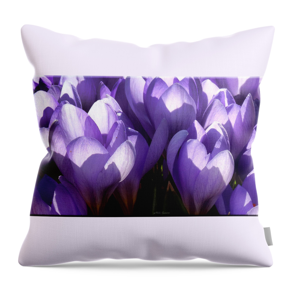Floral Throw Pillow featuring the photograph Early Crocus by Mikki Cucuzzo