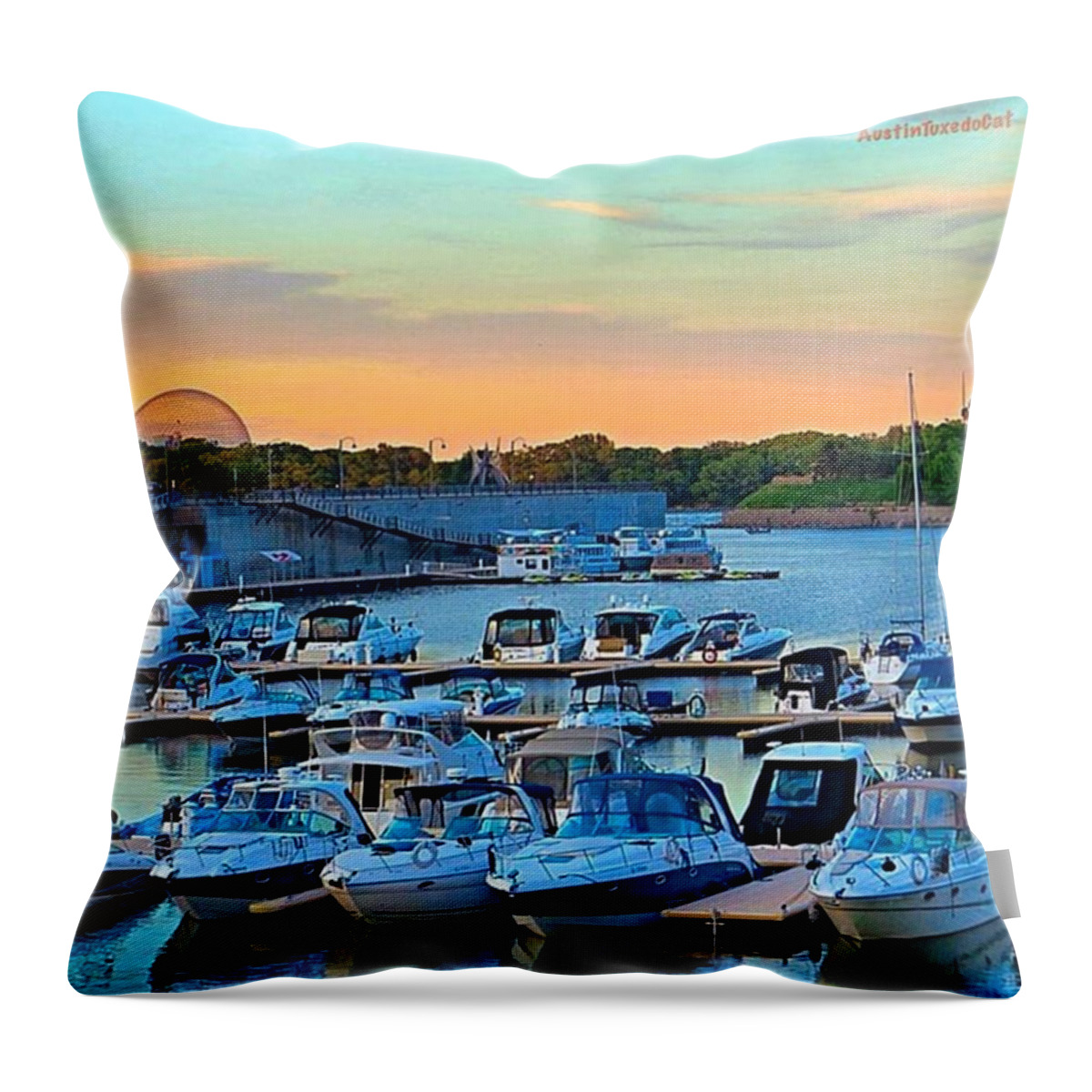 Sunrise_and_sunsets Throw Pillow featuring the photograph Early #evening At The Old #port Of by Austin Tuxedo Cat