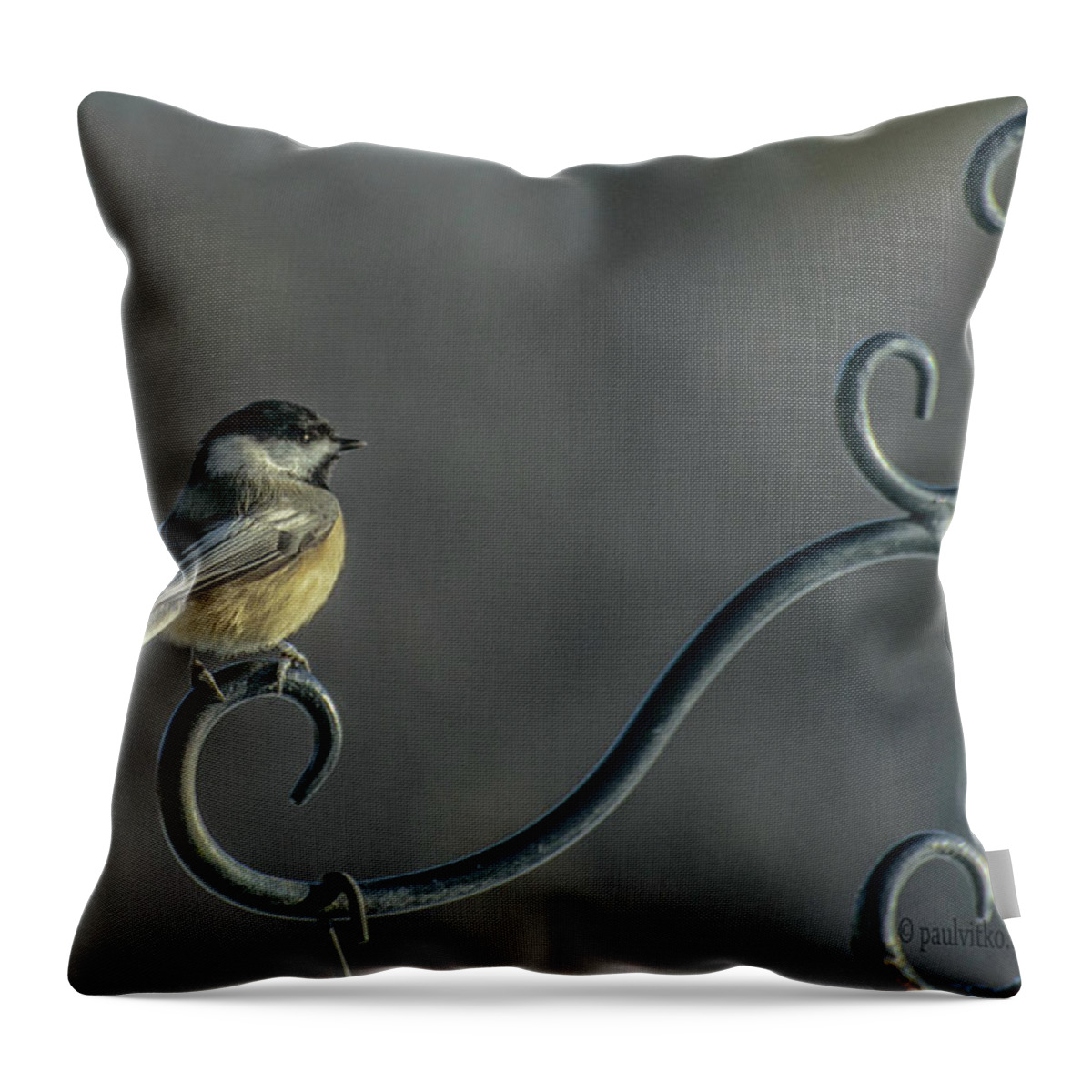  Throw Pillow featuring the photograph Early Morning At The Feeder by Paul Vitko