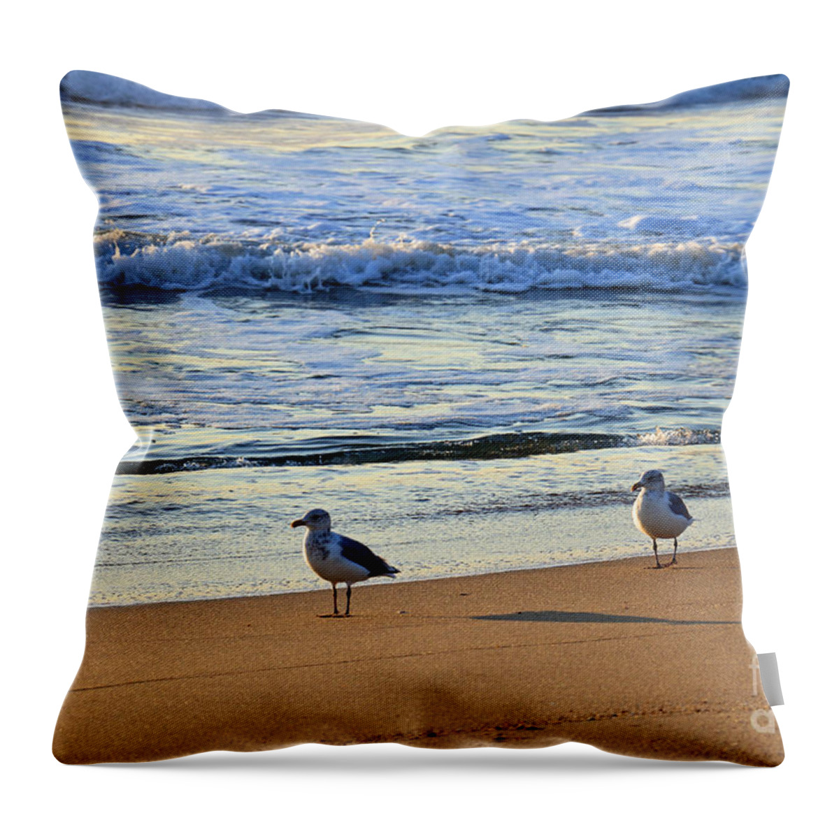 Landscape Throw Pillow featuring the photograph Early Morning Gull Pair by Mary Haber