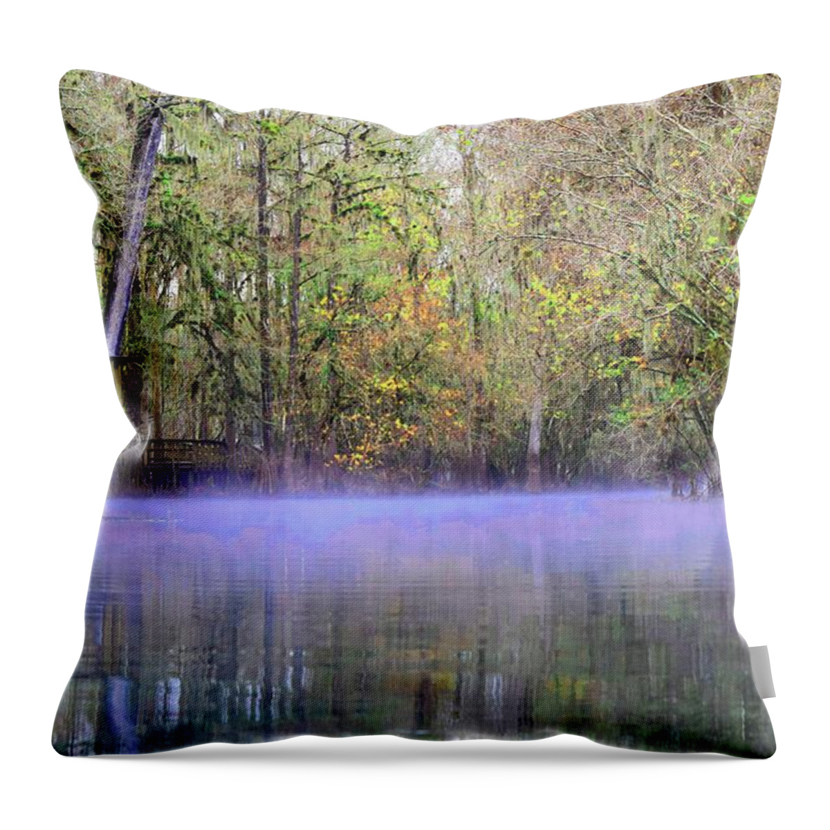 Fog Throw Pillow featuring the photograph Early Morning Springs by Sheri McLeroy
