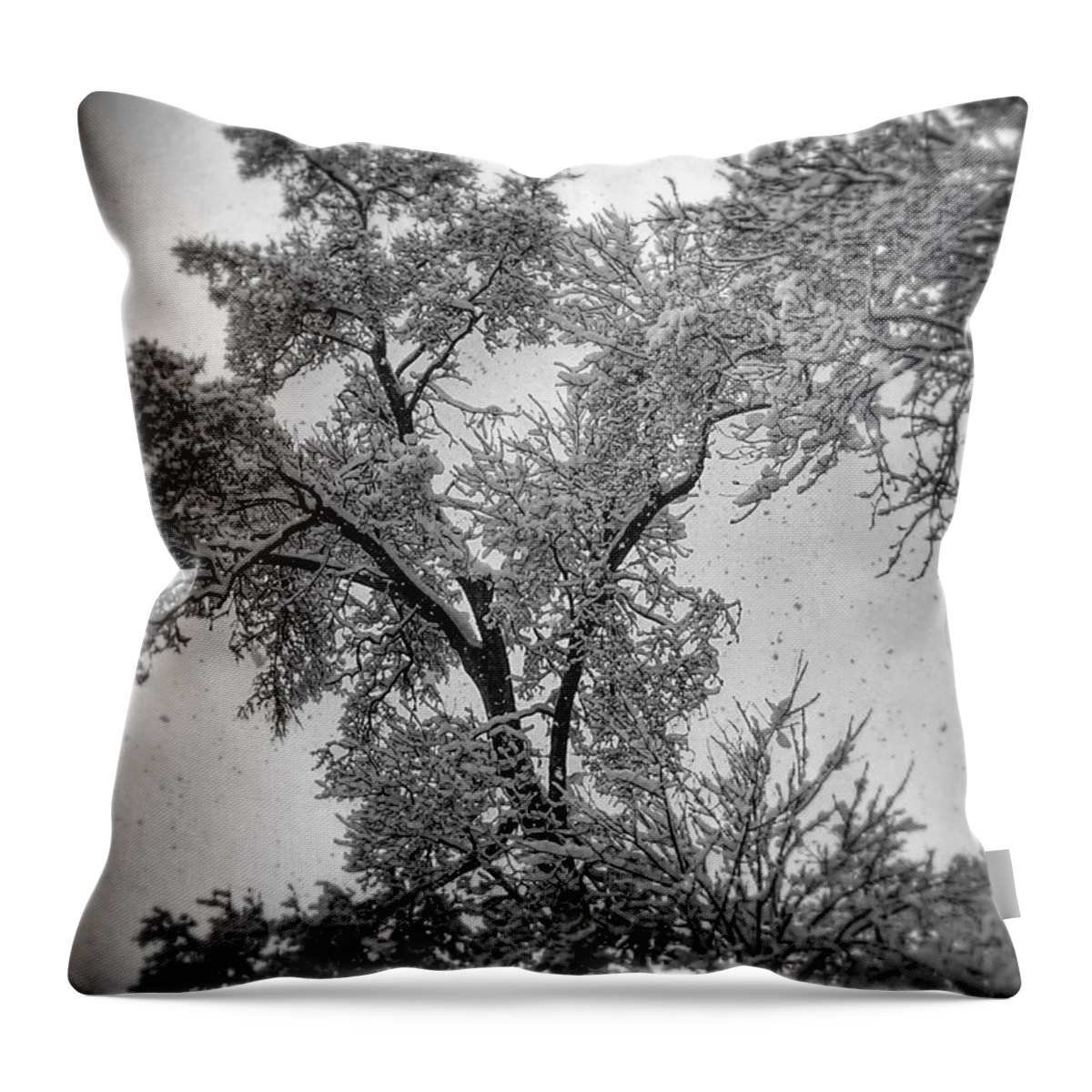Snow Throw Pillow featuring the photograph Early Snow by Steven Huszar