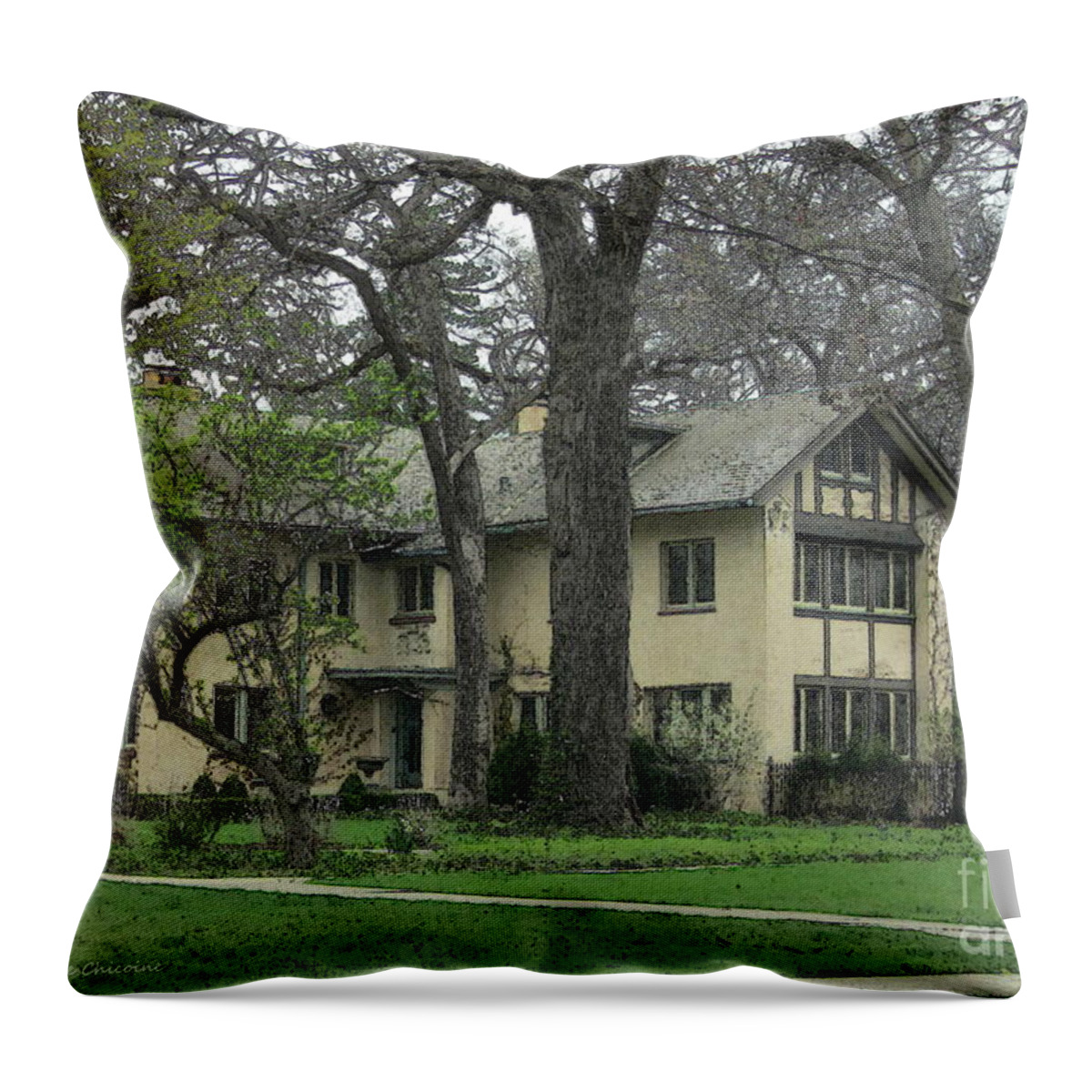 Photography Throw Pillow featuring the photograph Early Spring by Kathie Chicoine