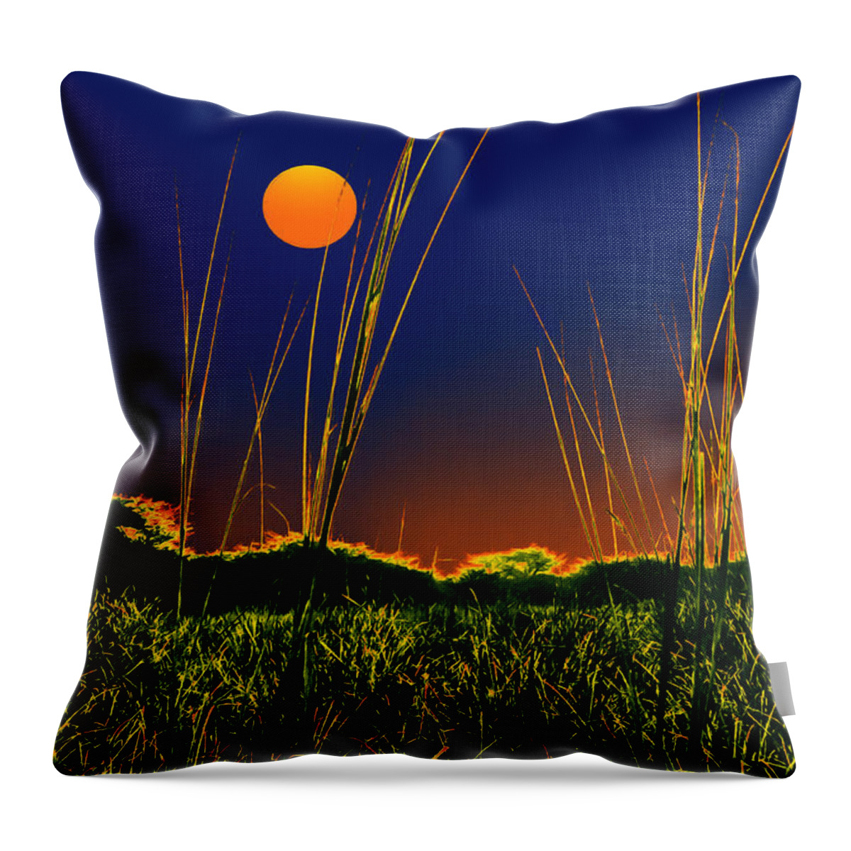 Moon Throw Pillow featuring the digital art Earth at Night by Bliss Of Art