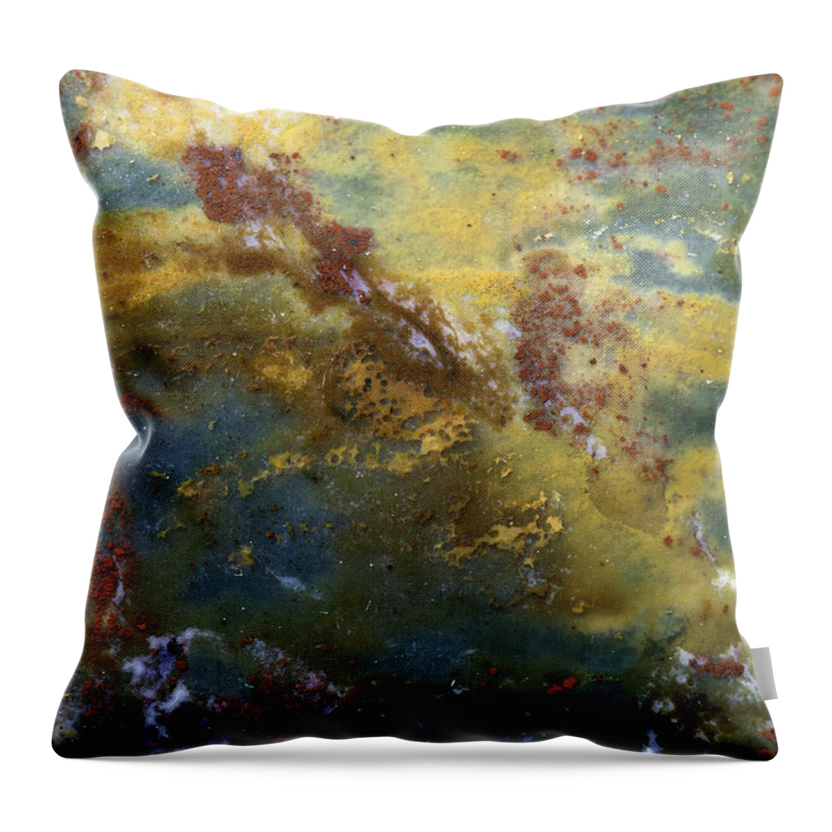 Macro Throw Pillow featuring the photograph Earth Portrait 008 by David Waldrop