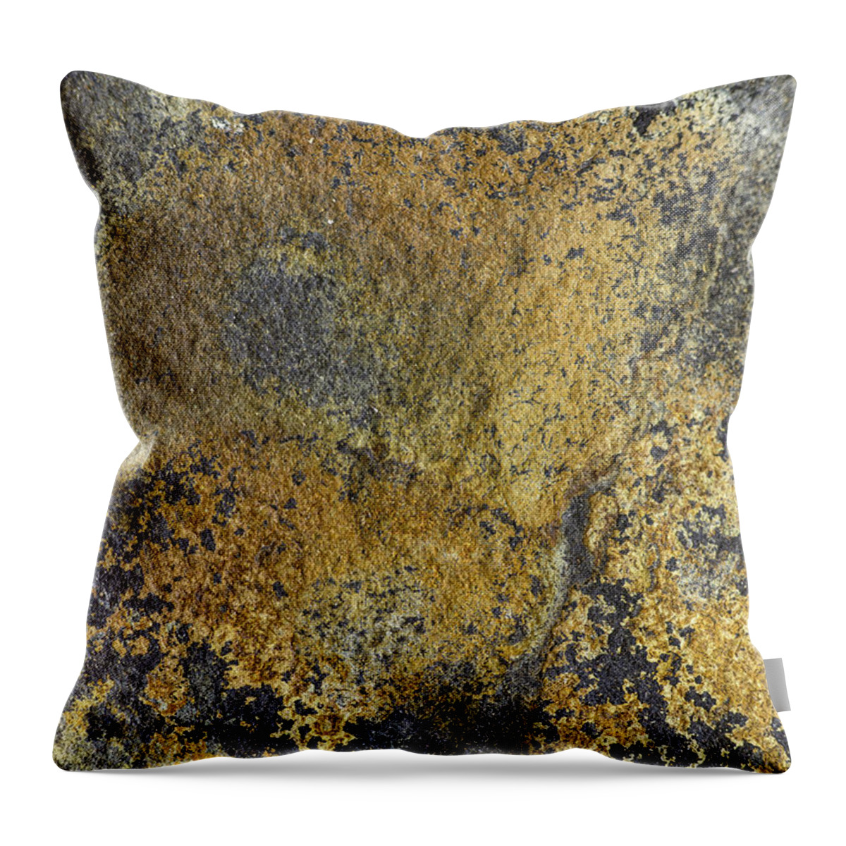 Macro Throw Pillow featuring the photograph Earth Portrait 014 by David Waldrop
