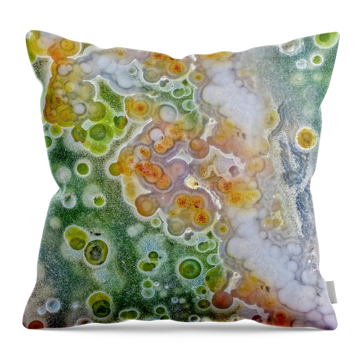 Earth Throw Pillow featuring the photograph Earth Portrait 277 by David Waldrop