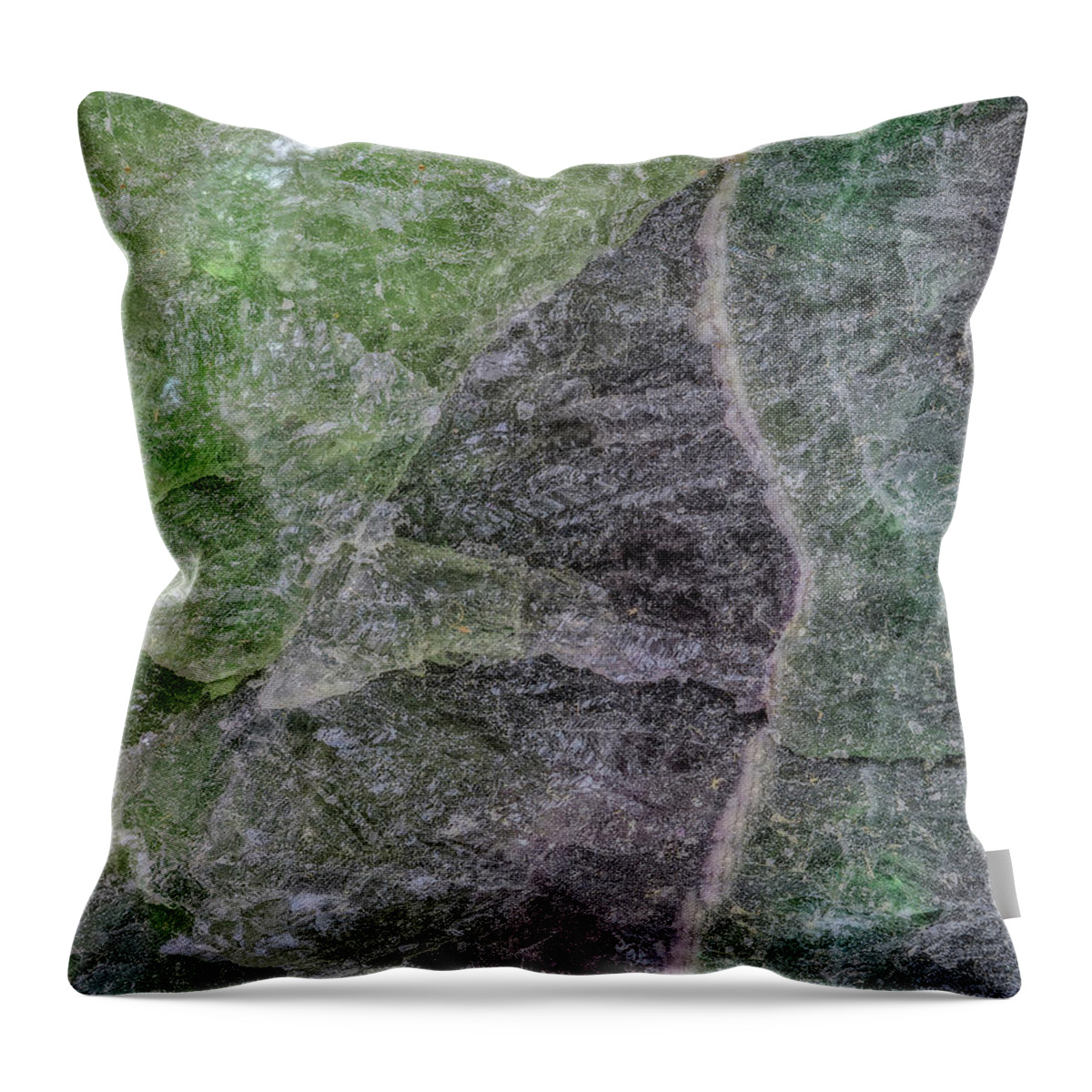 Earth Throw Pillow featuring the photograph Earth Portrait 294 by David Waldrop