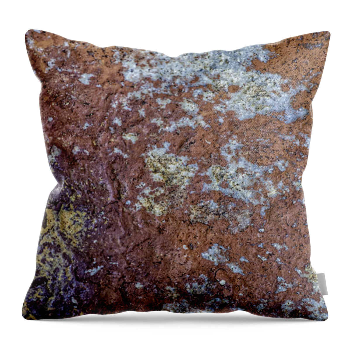Macro Throw Pillow featuring the photograph Earth Portrait L6 by David Waldrop