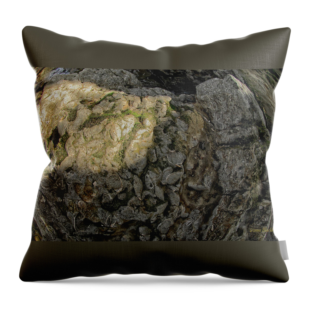 Rock Throw Pillow featuring the photograph Earth's Pedestal by Donna Blackhall