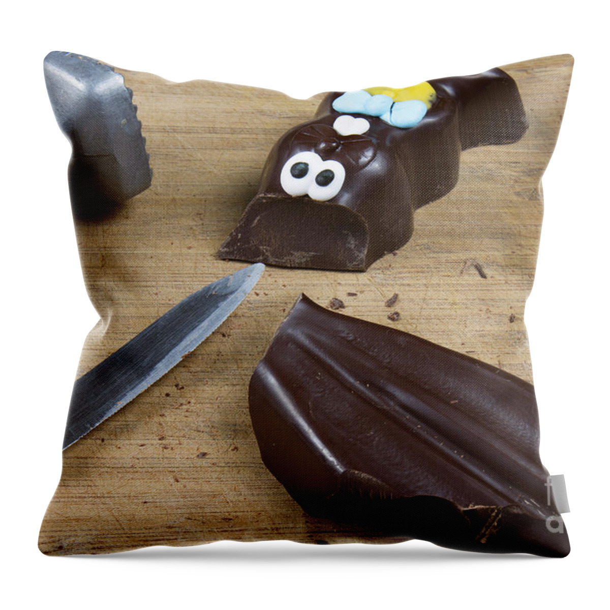Chocolate Throw Pillow featuring the photograph Easter Bunny by Karen Foley