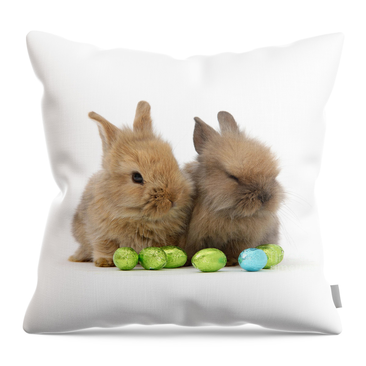 Two Throw Pillow featuring the photograph Easter Bunny Pair by Warren Photographic