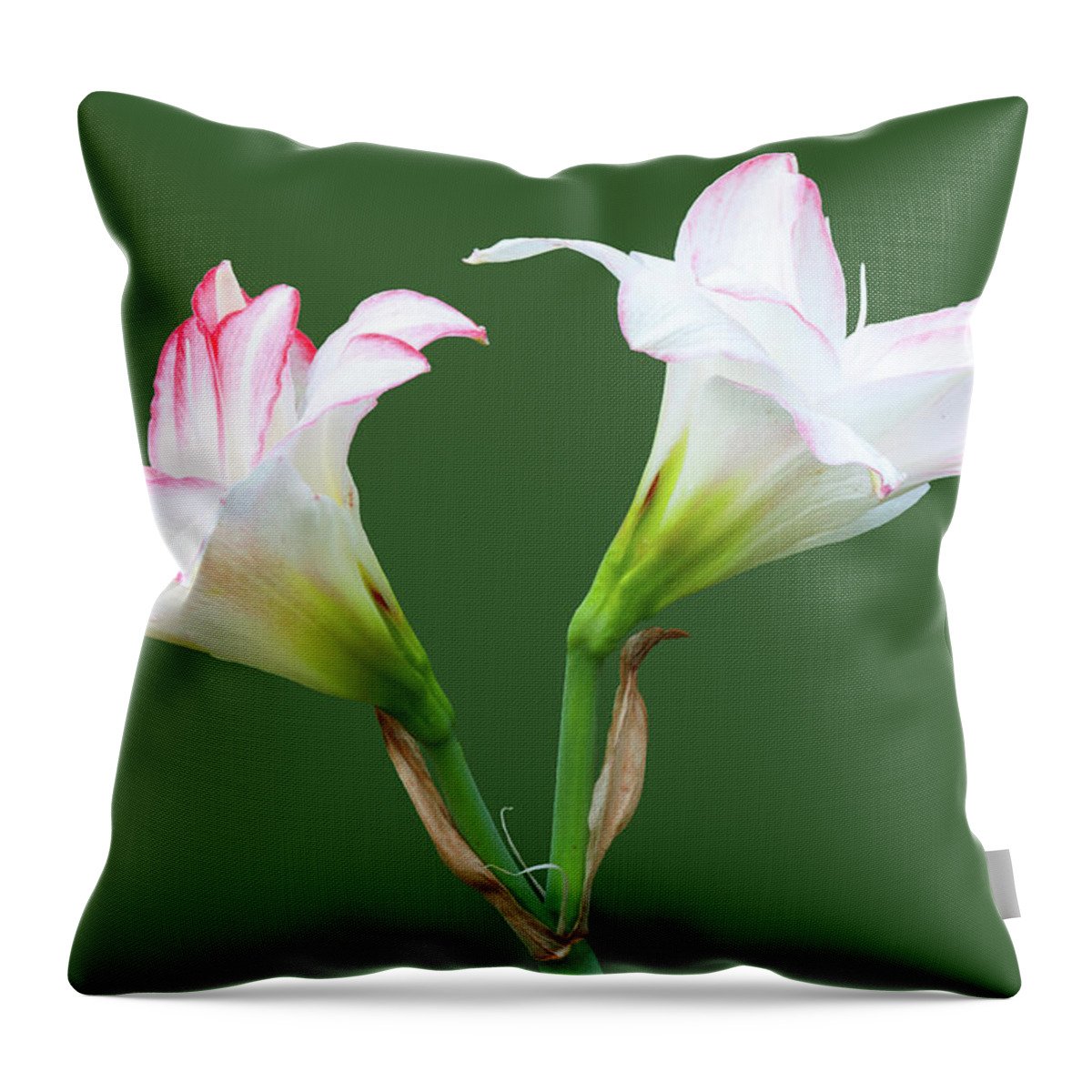 Spring Lilies Throw Pillow featuring the photograph Easter Lilies by Ram Vasudev