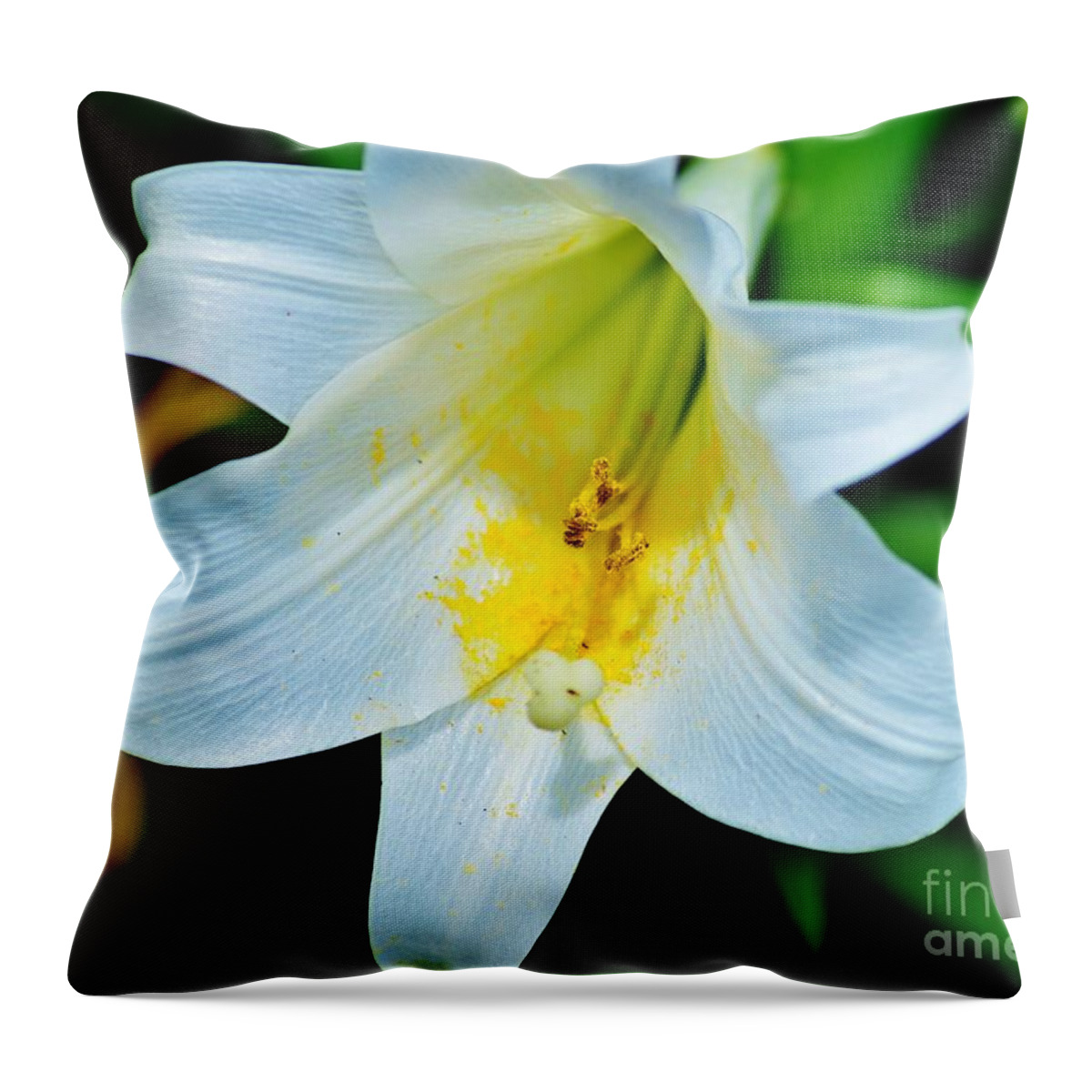 Easter Lily Throw Pillow featuring the photograph Easter Promise by Julie Adair