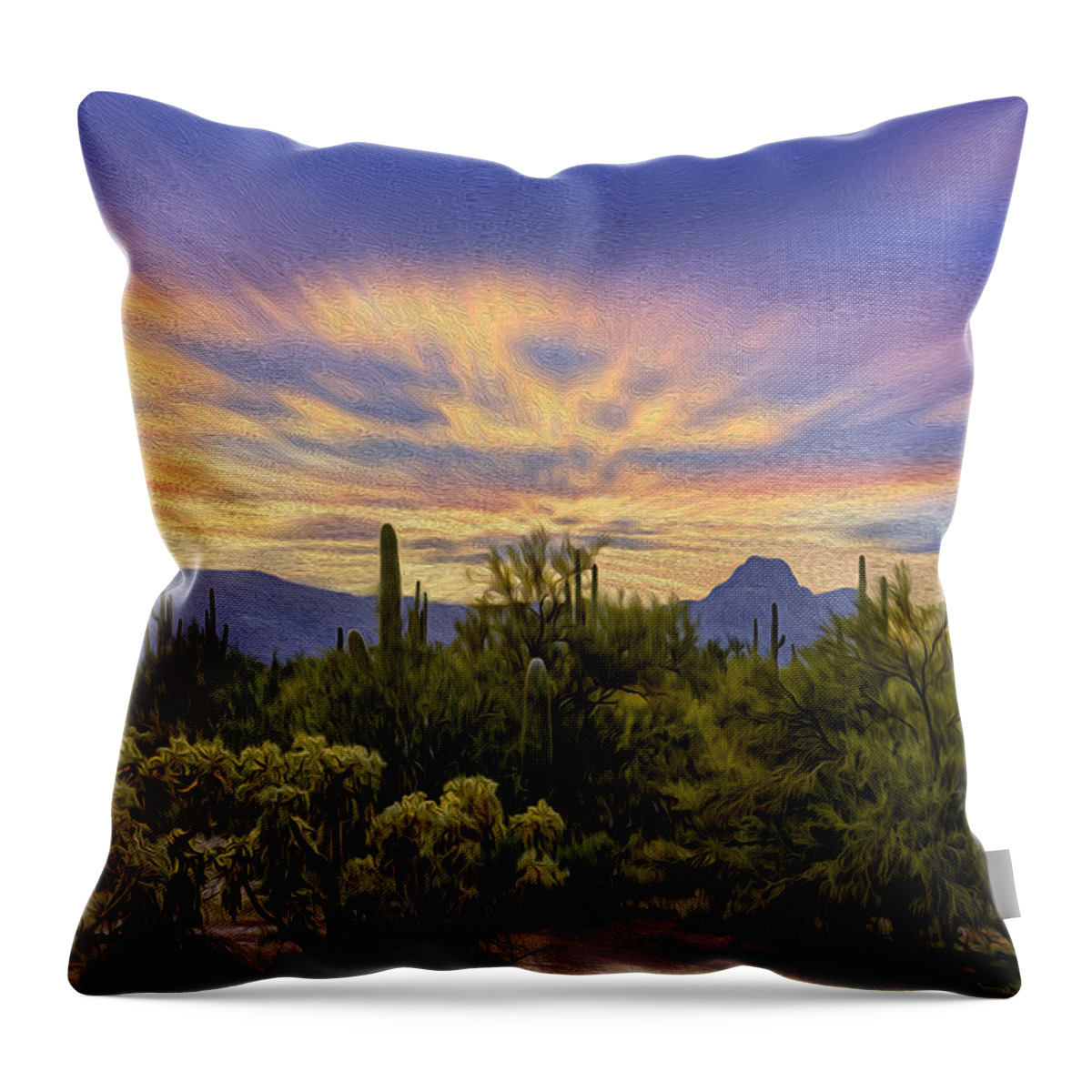 Arizona Throw Pillow featuring the photograph Easter Sunset H19 by Mark Myhaver