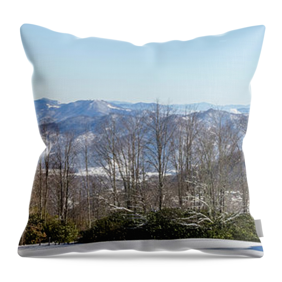Snowscape Throw Pillow featuring the photograph Easterly Winter View by D K Wall