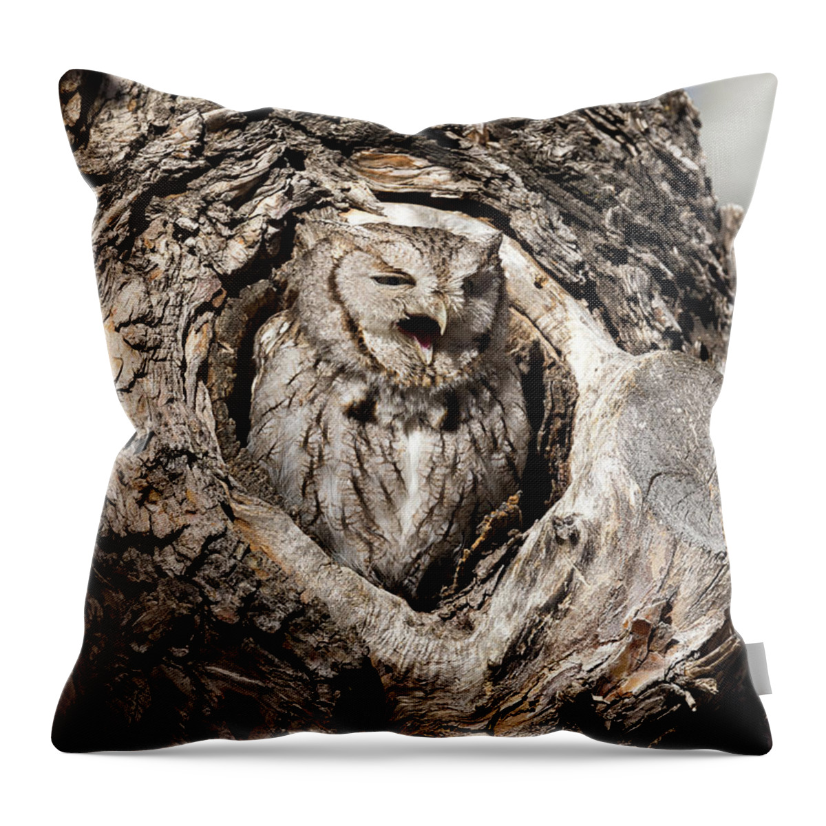 Owl Throw Pillow featuring the photograph Eastern Screech Owl Makes Some Noise by Tony Hake