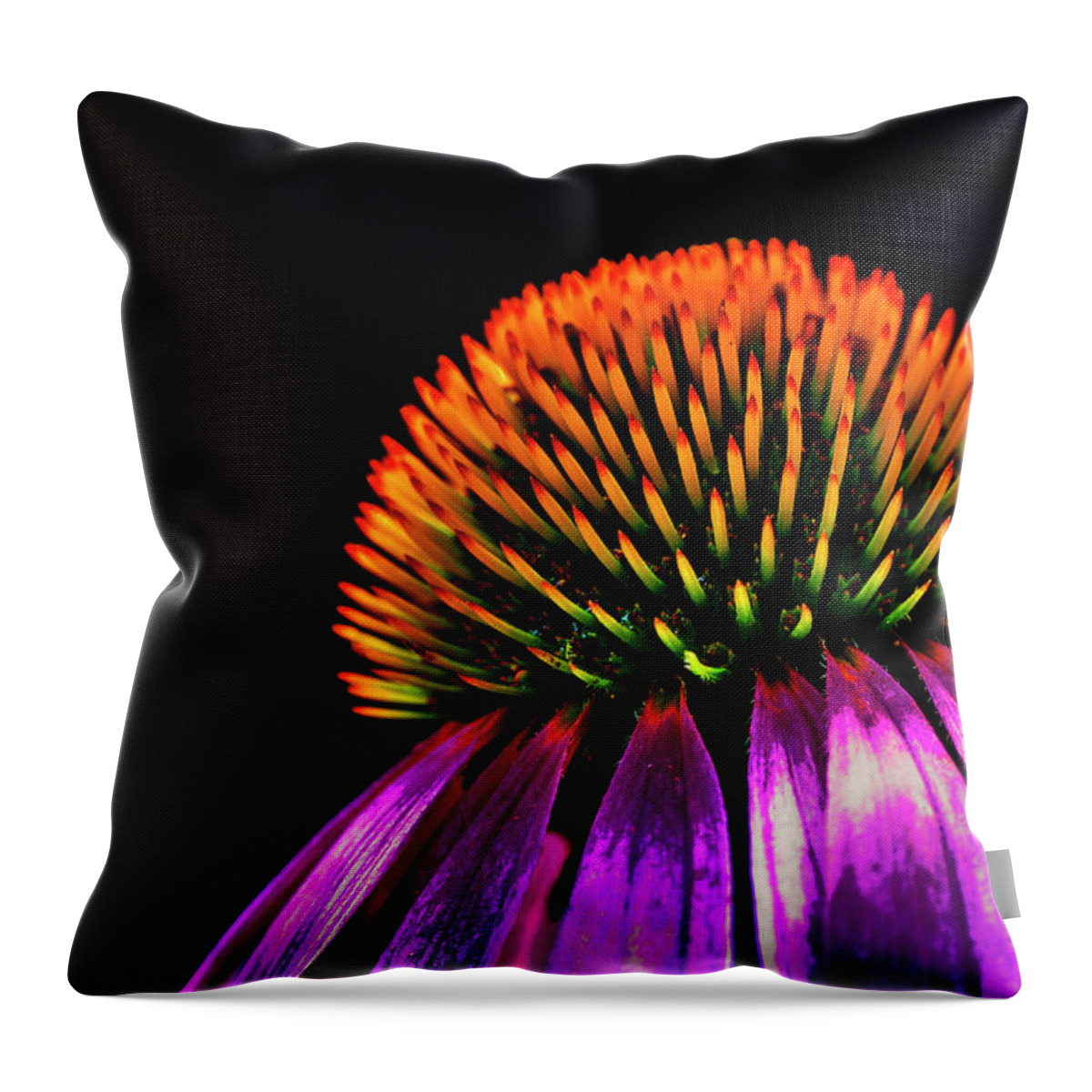 Echinacea Throw Pillow featuring the photograph Echinacea by Ivan Slosar
