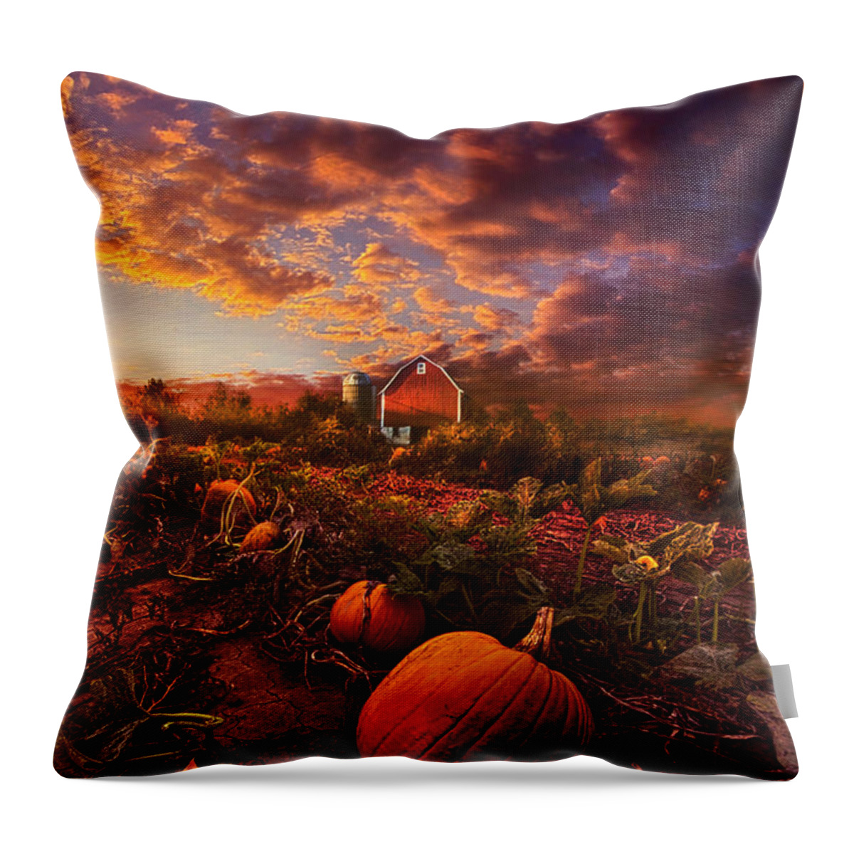 Pumpkins Throw Pillow featuring the photograph Echos You Can See by Phil Koch