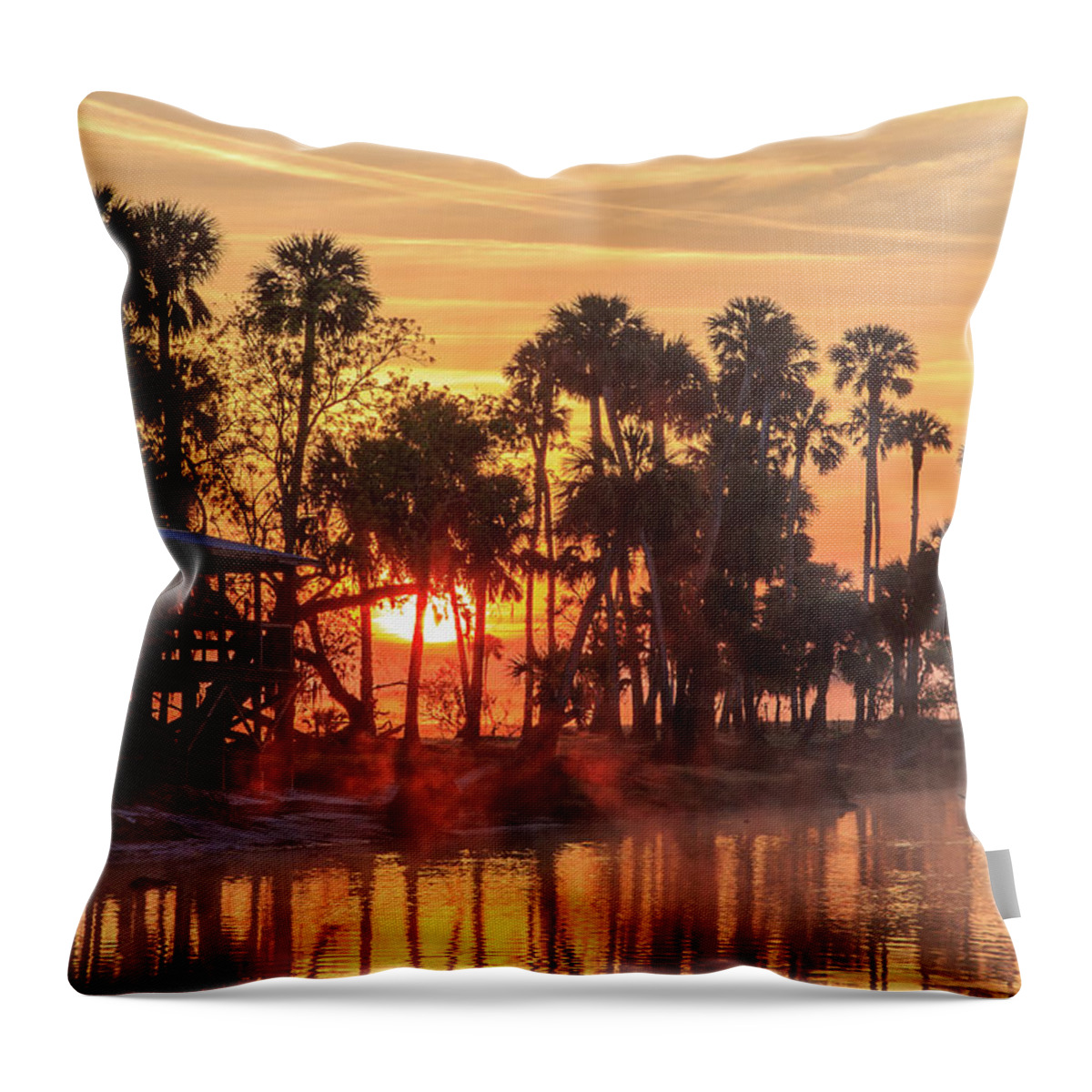 Florida Throw Pillow featuring the photograph Econ River Sunrise by Stefan Mazzola