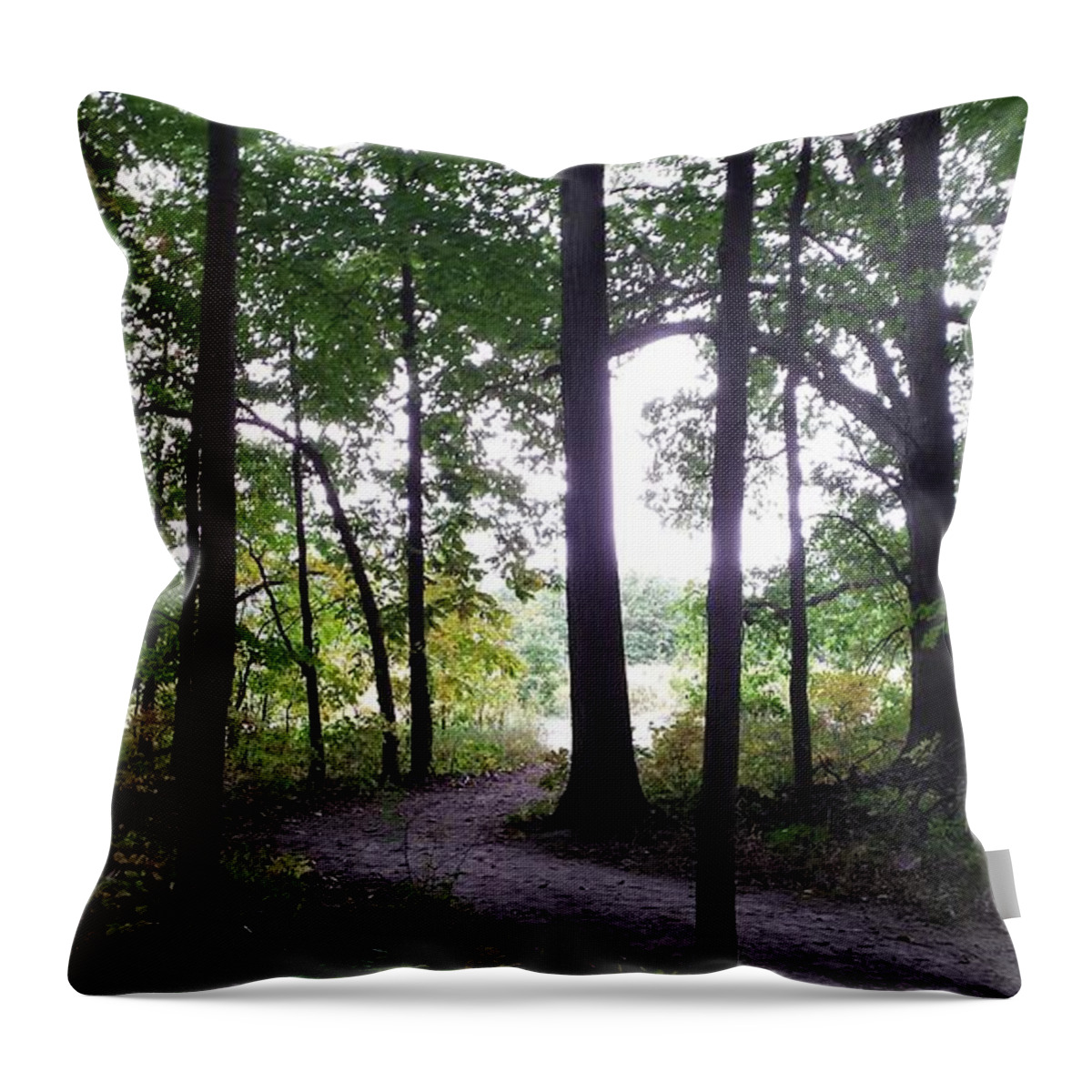 Edge Of The Forest Throw Pillow featuring the photograph Edge Of The Forest by Paddy Shaffer