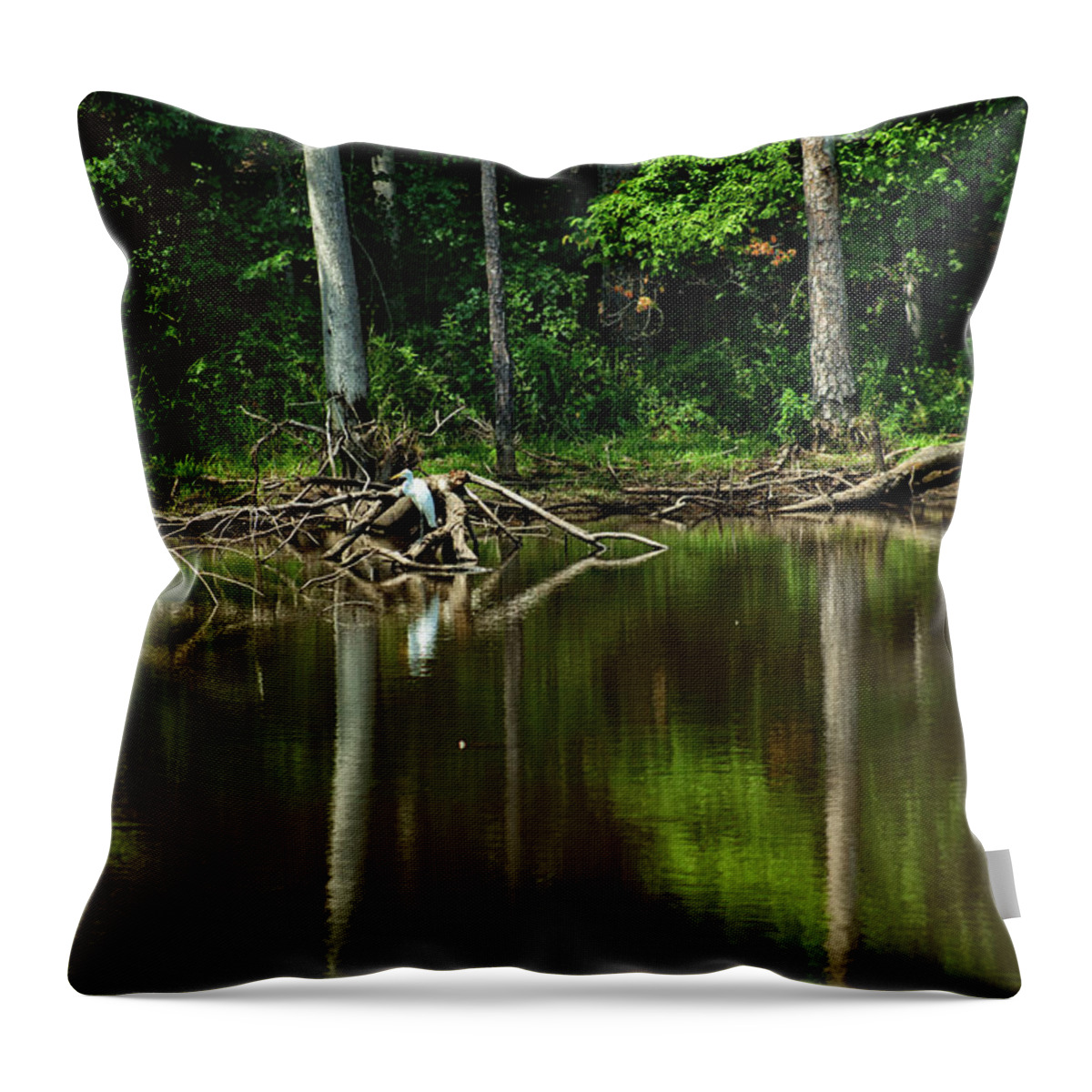 Landscape Throw Pillow featuring the photograph Egret 4 by Ayesha Lakes