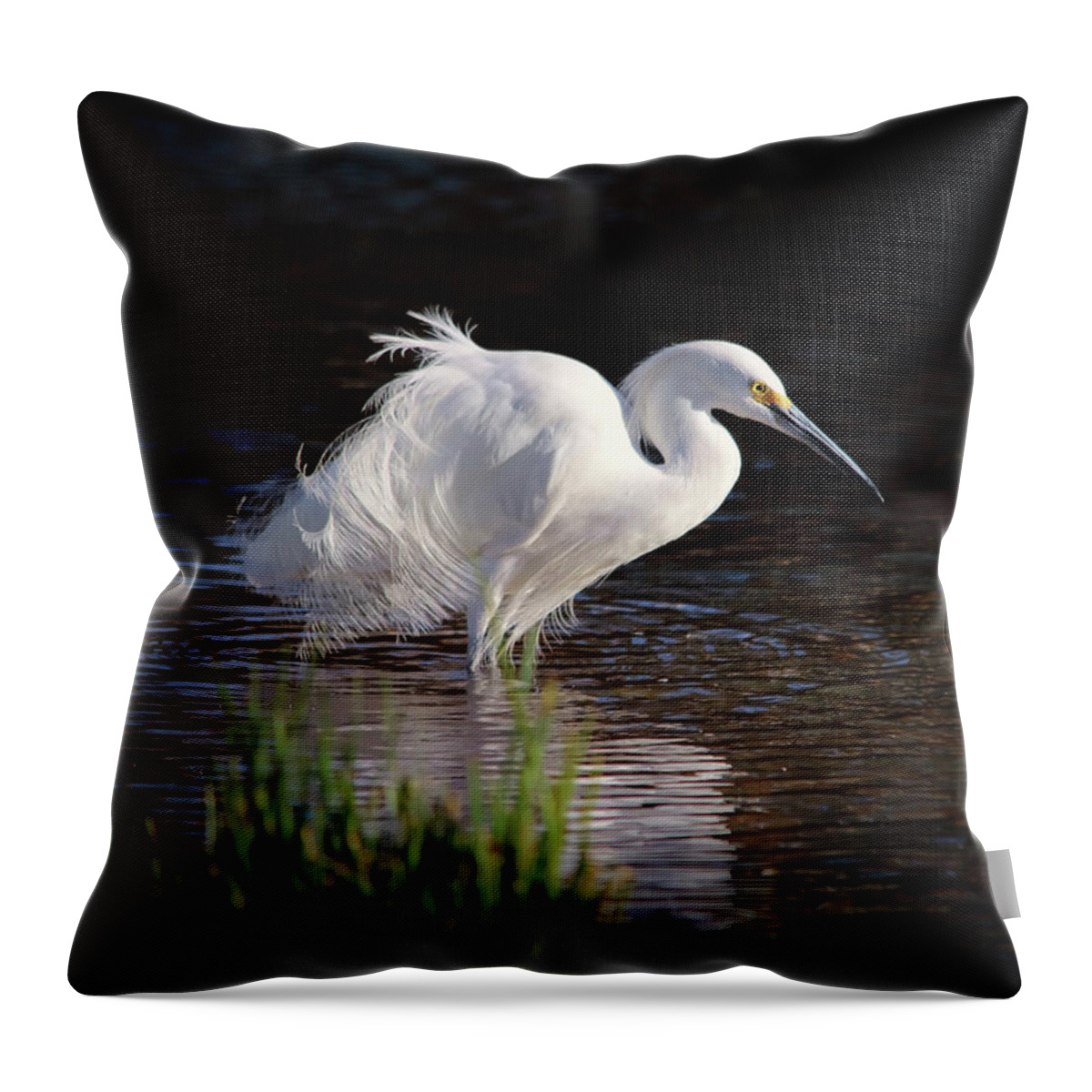 Wild Birds Throw Pillow featuring the photograph Egret by Elaine Malott