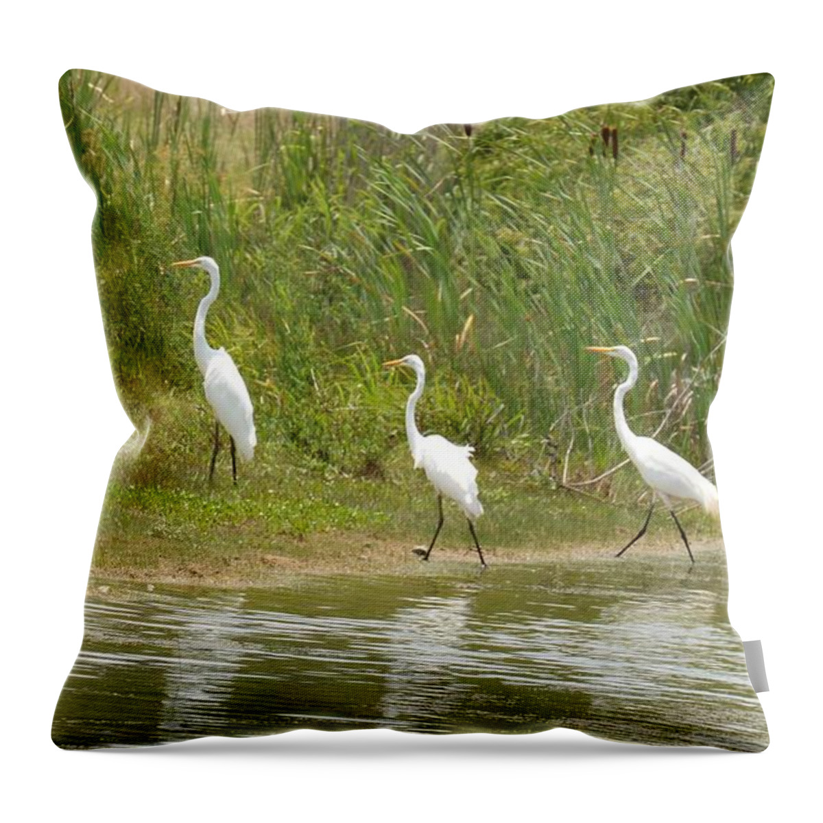 Egret Family 2 Throw Pillow featuring the photograph Egret Family 2 by Maria Urso