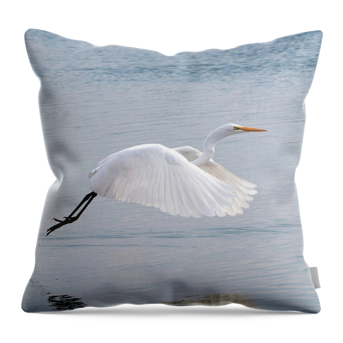Egret Throw Pillow featuring the photograph Egret Taking Off 1 by Catherine Lau