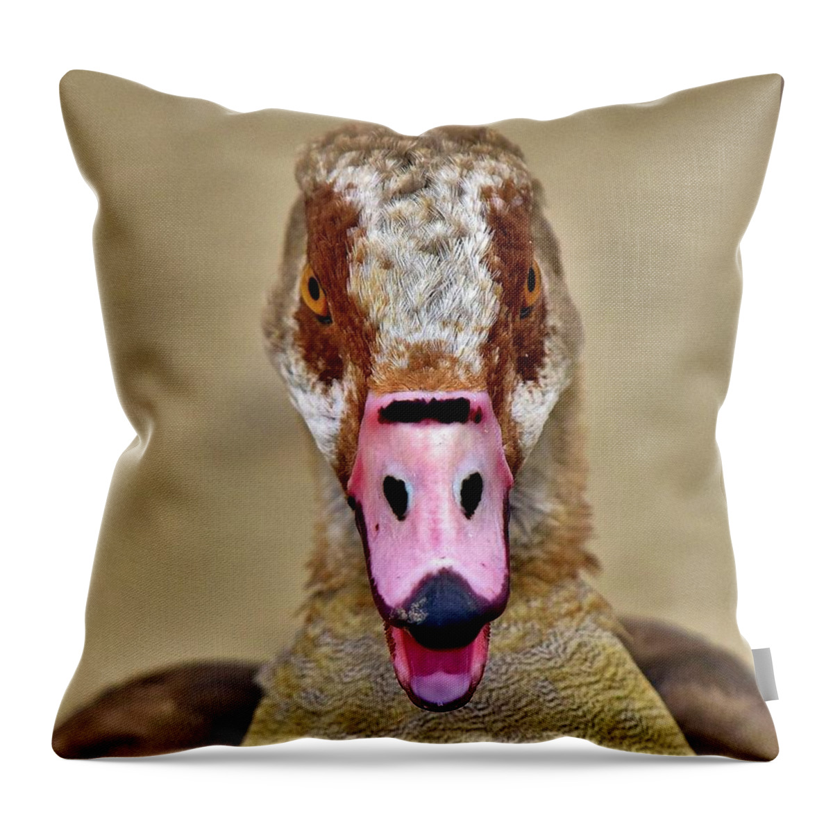 Linda Brody Throw Pillow featuring the photograph Egyptian Goose Stare by Linda Brody