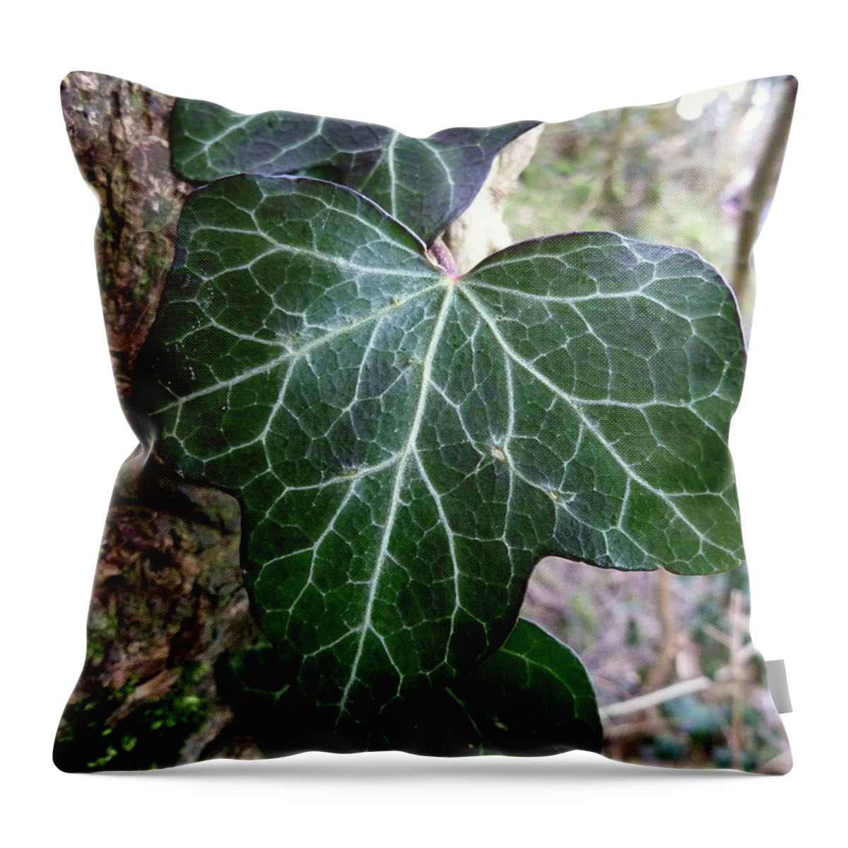 Electric Throw Pillow featuring the photograph Electric leaf by Lukasz Ryszka