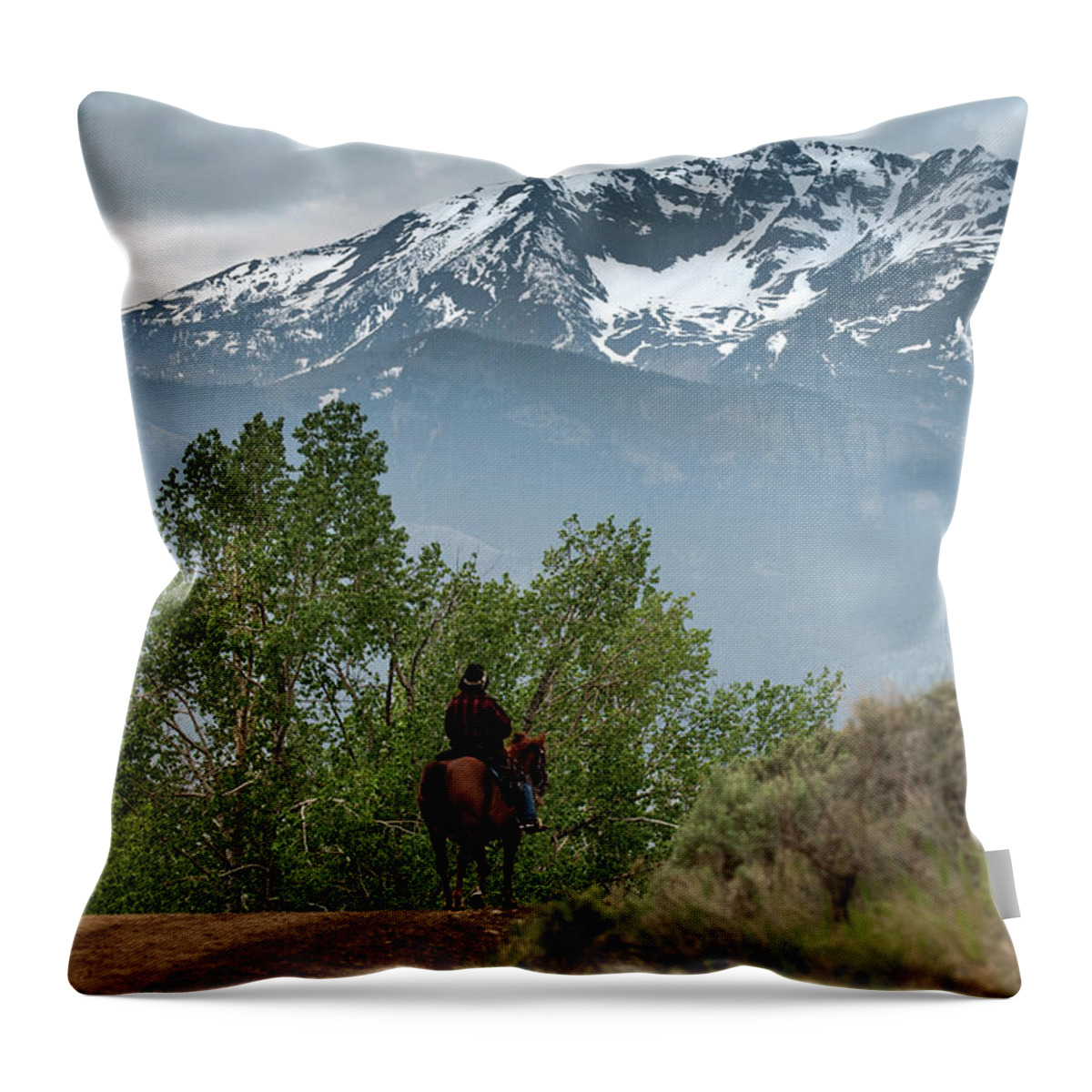 Horse Throw Pillow featuring the photograph Electric Peak Cowboy by Wildlife Fine Art