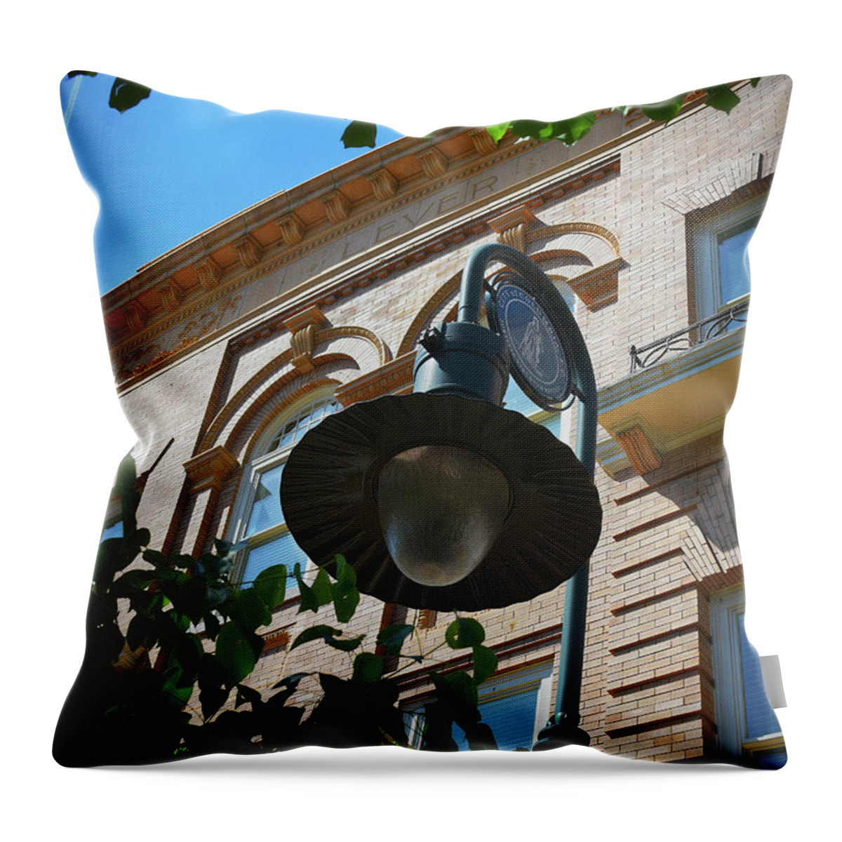 Scenic Tours Throw Pillow featuring the photograph Electrifying Architecture by Skip Willits