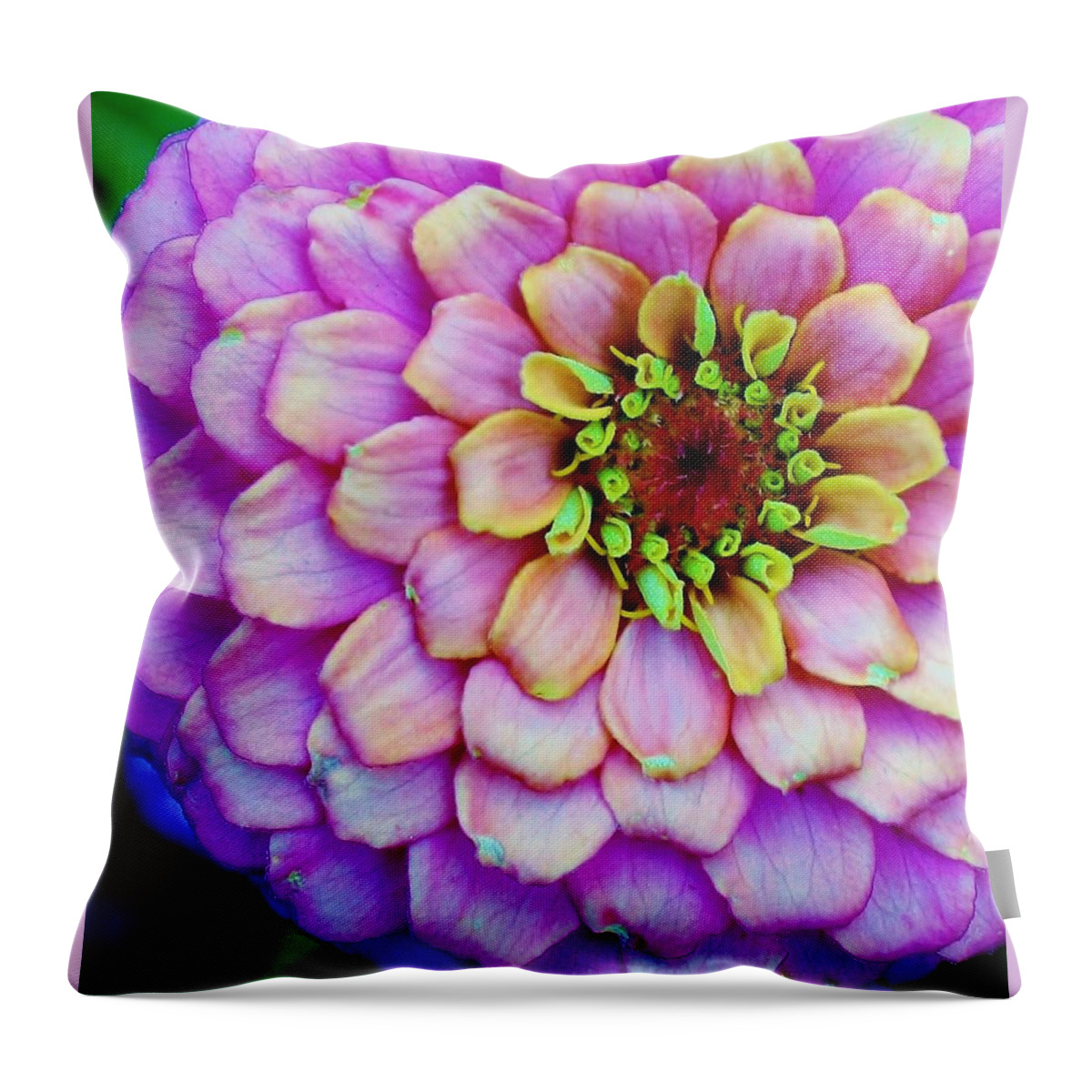 Flora Throw Pillow featuring the photograph Electrifying Zinna by Bruce Bley