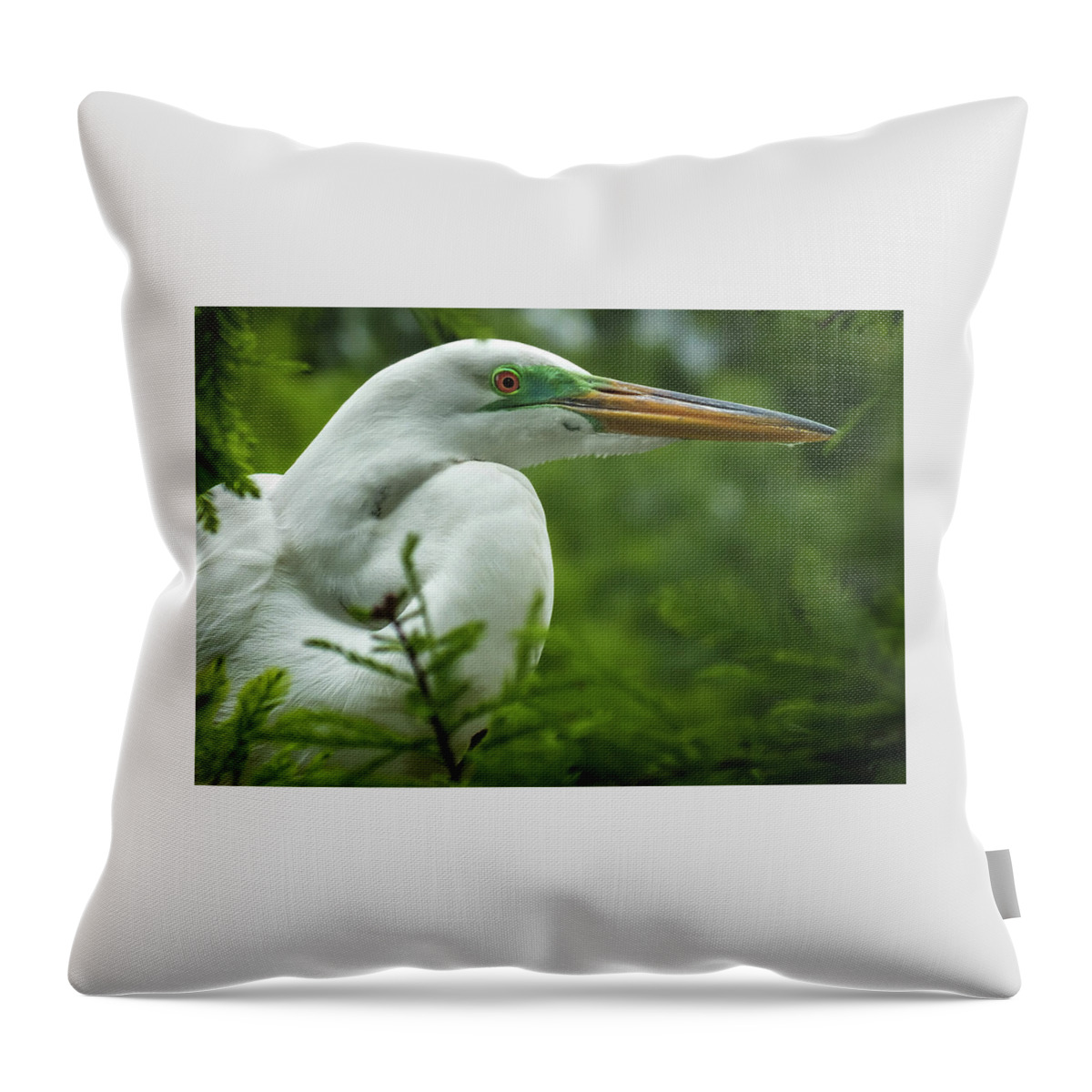 White Egret Portraits Throw Pillow featuring the photograph ELEGANCE in CYPRESS by Karen Wiles