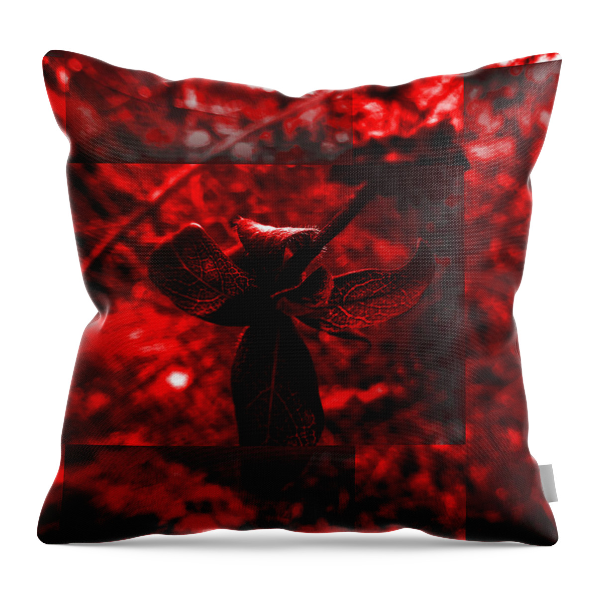 Photos' Landscapes' Abstract' Throw Pillow featuring the photograph Elements 102 by The Lovelock experience