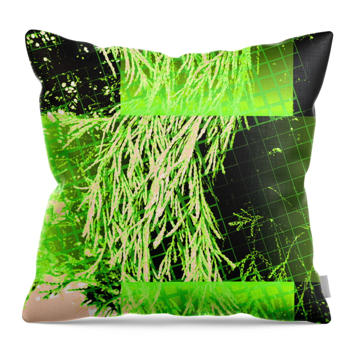 Photos' Landscapes' Abstract' Throw Pillow featuring the photograph Elements 105 by The Lovelock experience