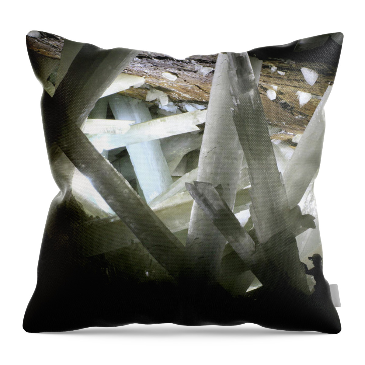 Elements Throw Pillow featuring the photograph Elements by Jackie Russo