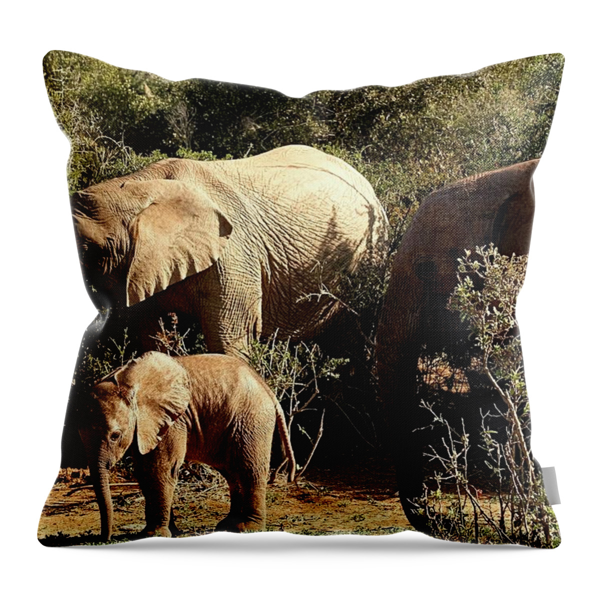Elephants Throw Pillow featuring the photograph Elephant Family by Jennifer Wheatley Wolf