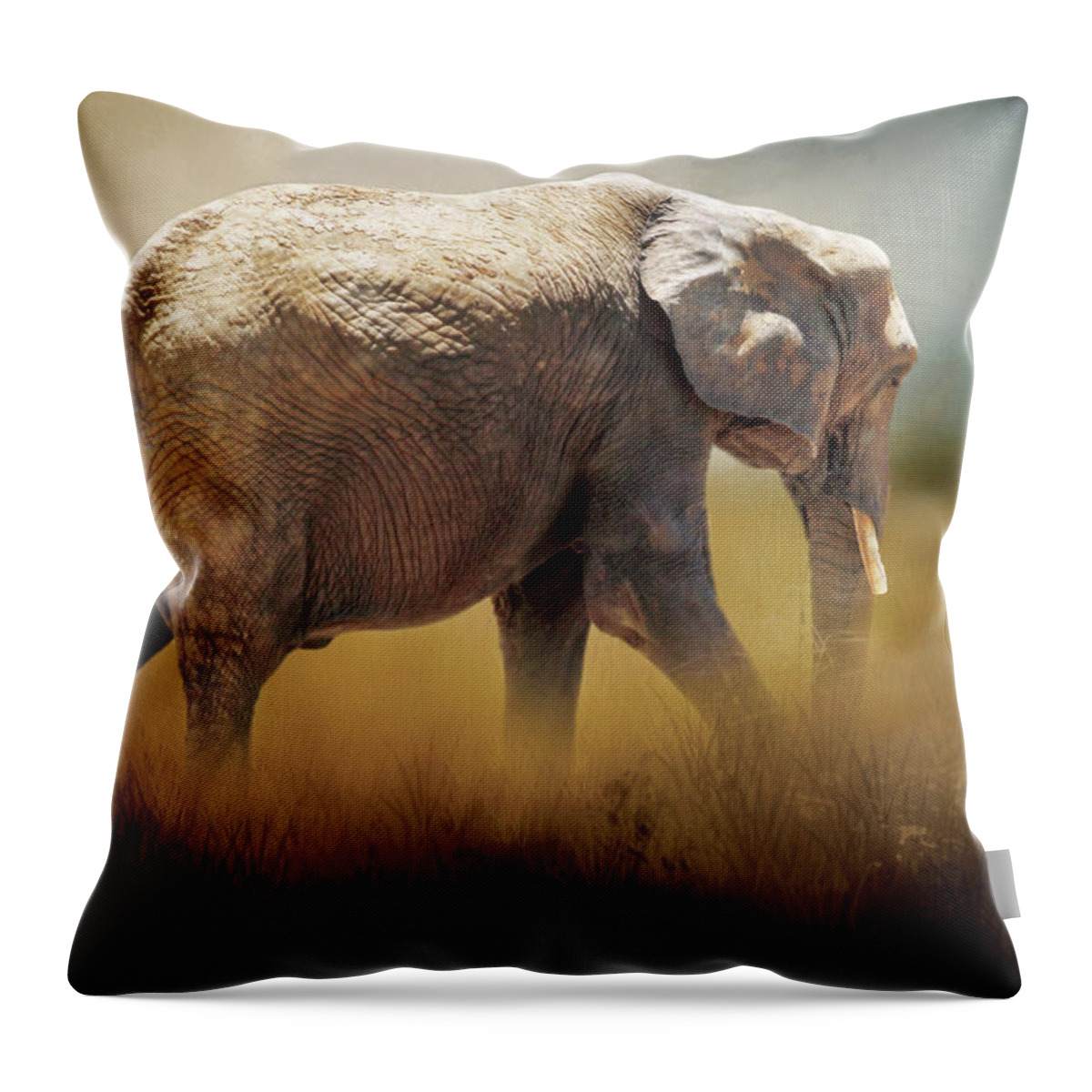 Africa Throw Pillow featuring the photograph Elephant in the Mist by David and Carol Kelly