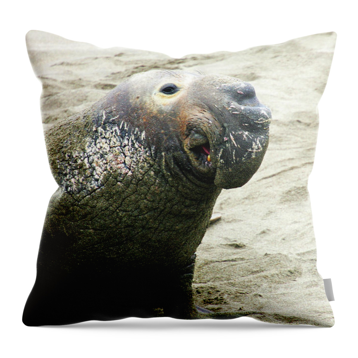 Elephant Seal Throw Pillow featuring the photograph Elephant Seal by Anthony Jones