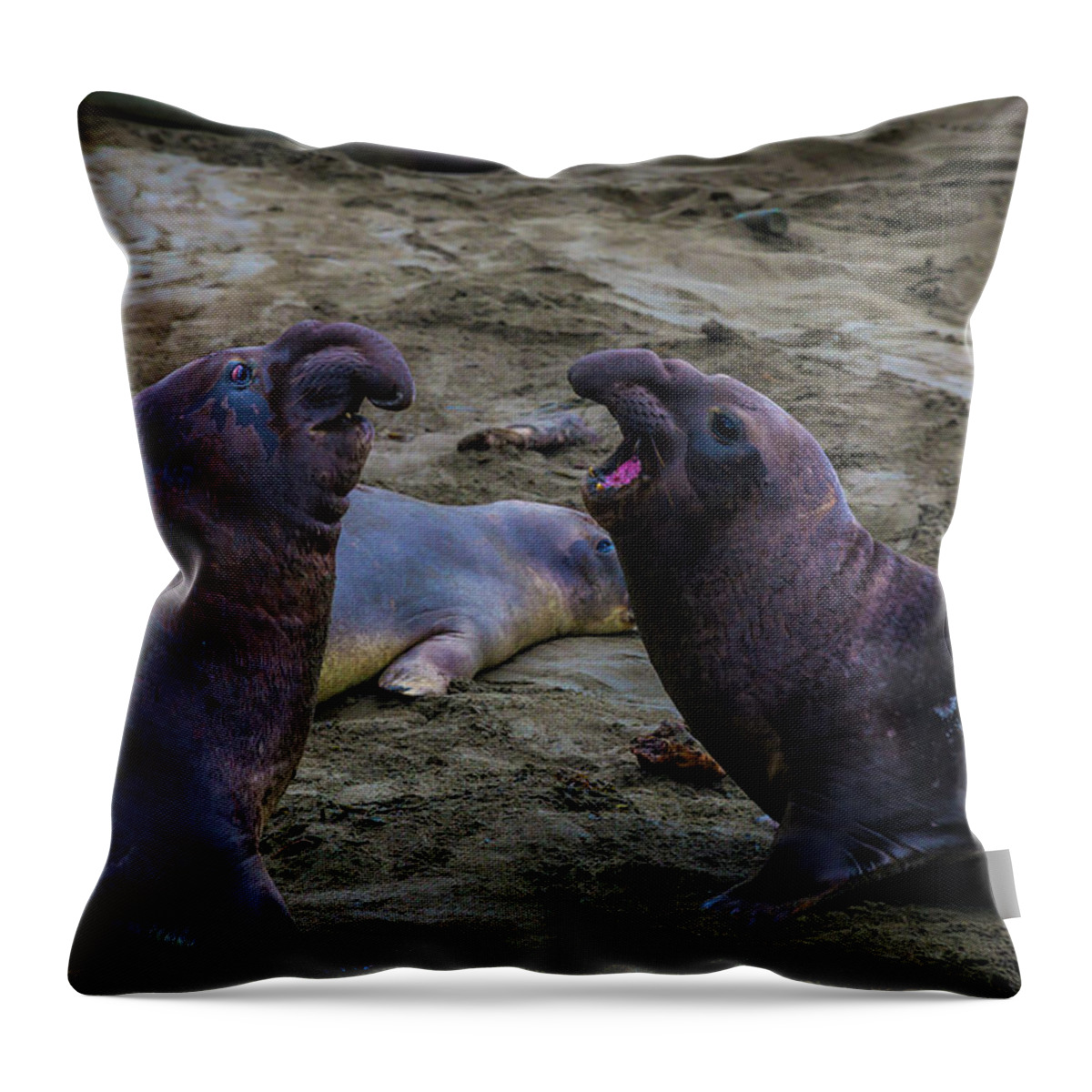 Elephant Throw Pillow featuring the photograph Elephant Seals Challenging Each other by Garry Gay