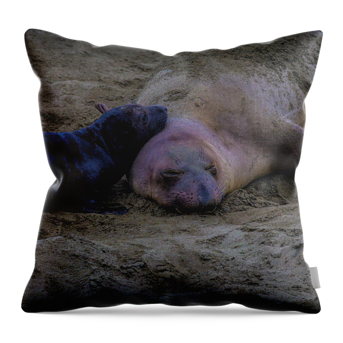Elephant Throw Pillow featuring the photograph Elephant Seals Mom And Pup by Garry Gay