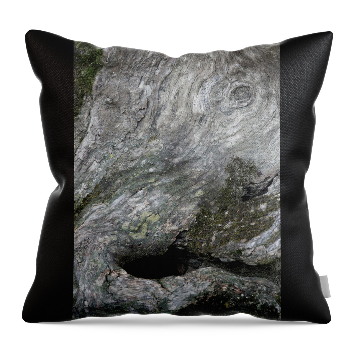 Elephant Trunk Throw Pillow featuring the photograph Elephant Trunk by Dale Kincaid
