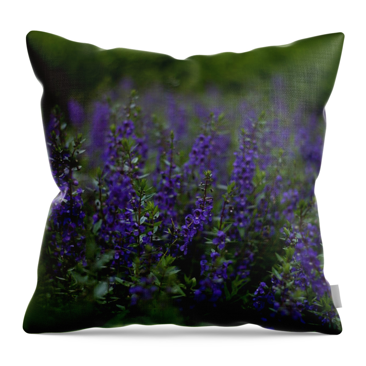 Flower Throw Pillow featuring the photograph Elizabethan Gardens by Andreas Freund