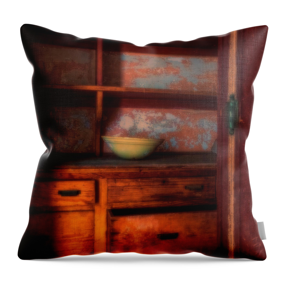 Jersey City New Jersey Throw Pillow featuring the photograph Ellis Island Cabinet by Tom Singleton