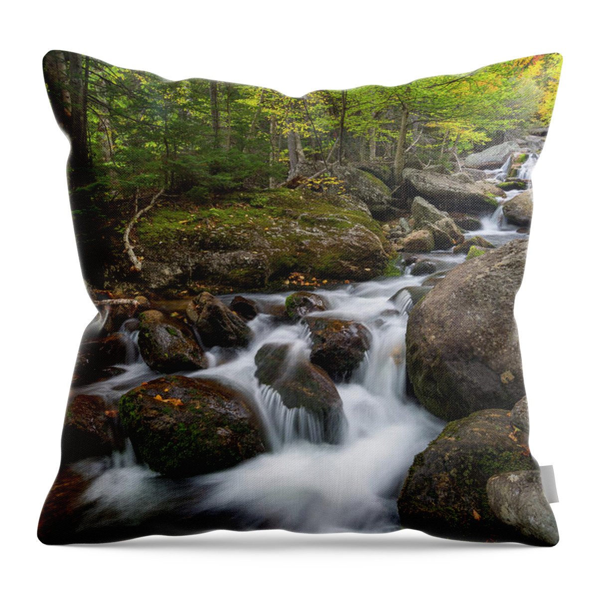 Autumn Throw Pillow featuring the photograph Ellis River New Hampshire by Bill Wakeley