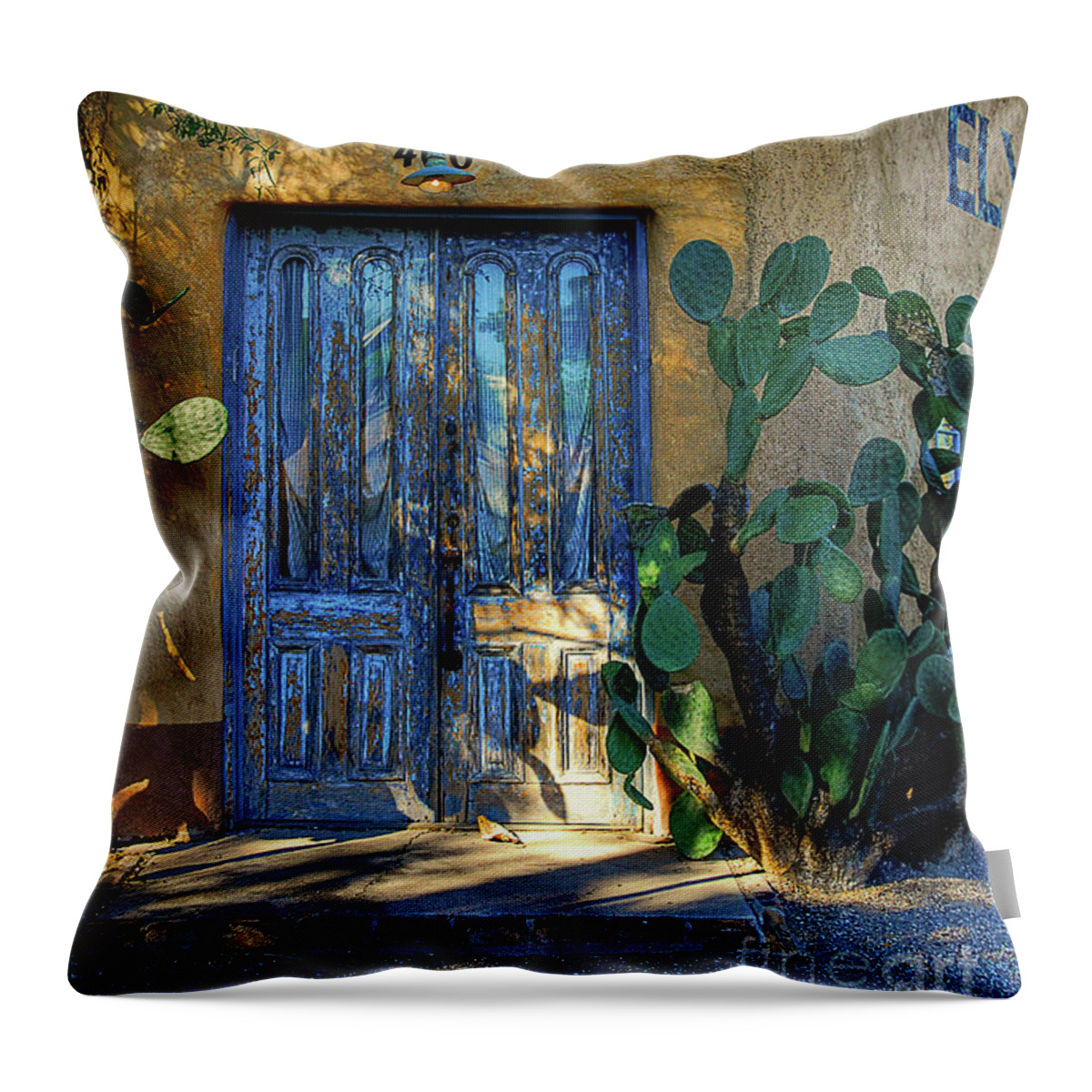 Door Throw Pillow featuring the photograph Elysian Grove In The Morning by Lois Bryan